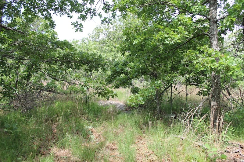 Indian Ridge – Phase II Tract 42 photo 8