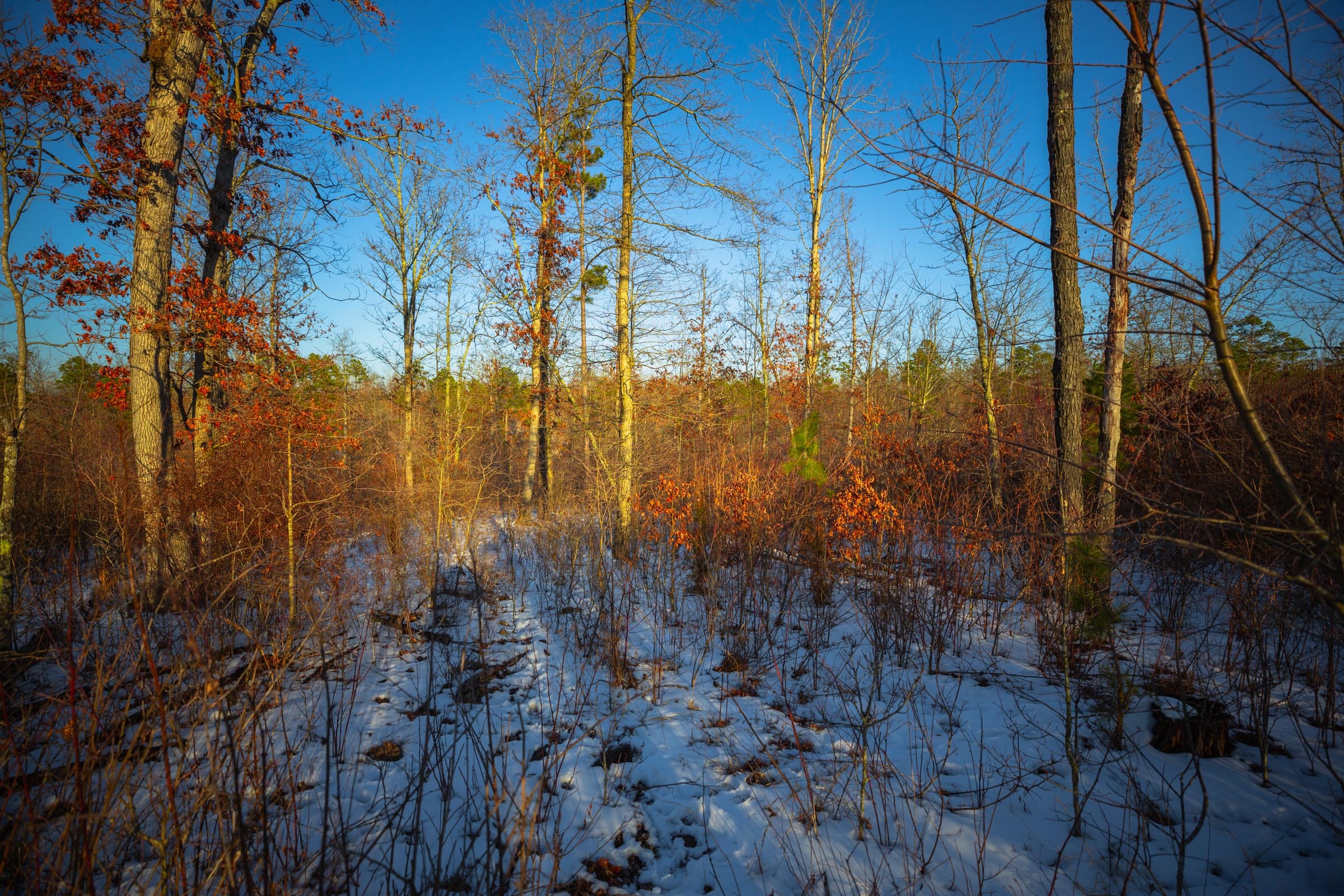 Sleepy Hollow Phase I Tract 36 photo 6