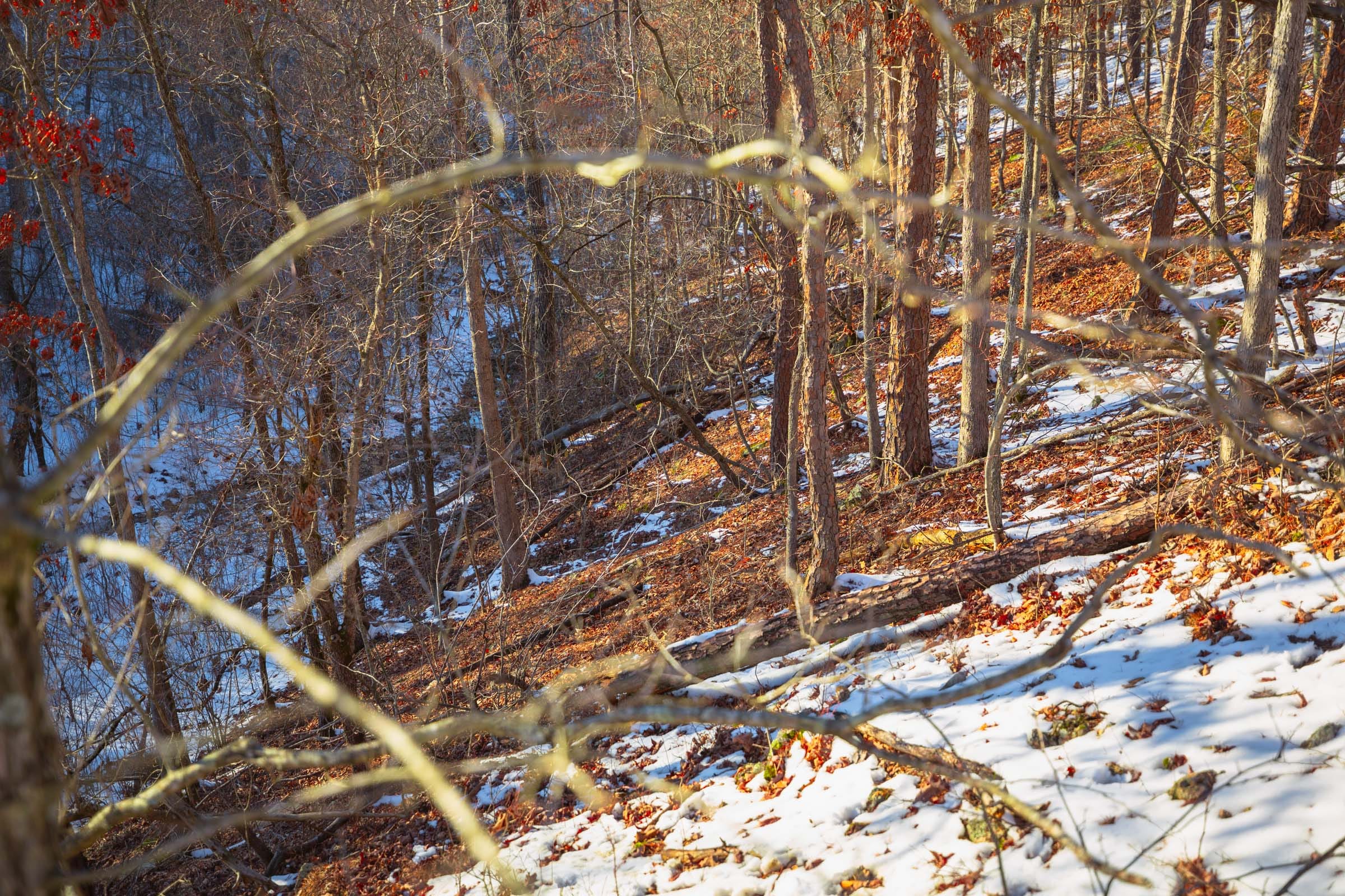 Sleepy Hollow Phase I Tract 36 photo 17