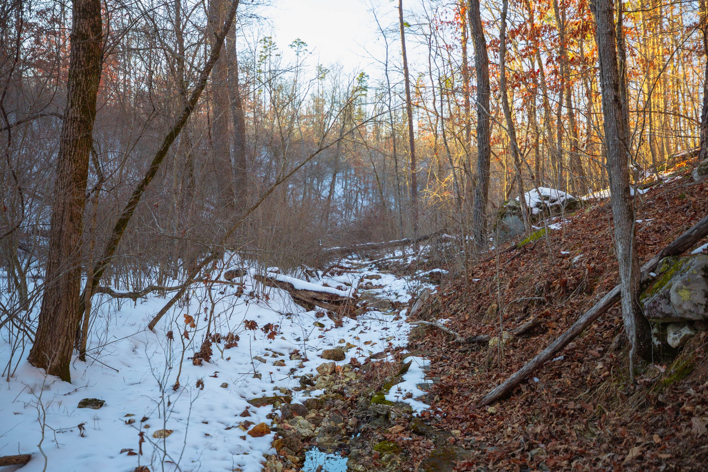 Sleepy Hollow Phase I Tract 36 photo 15
