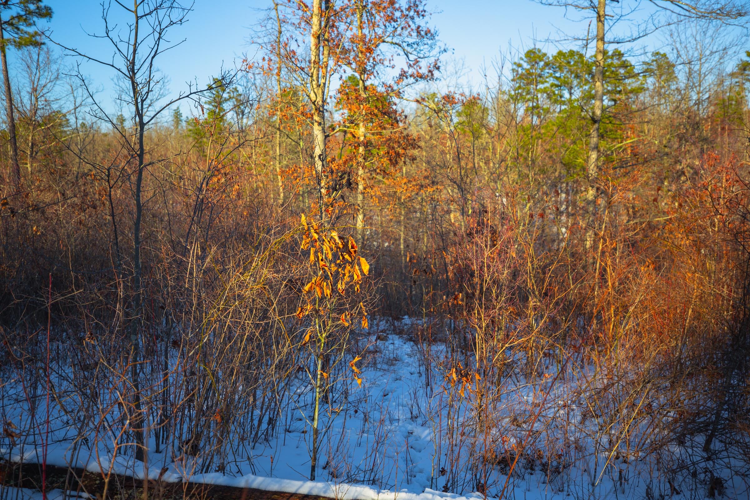 Sleepy Hollow Phase I Tract 36 photo 12