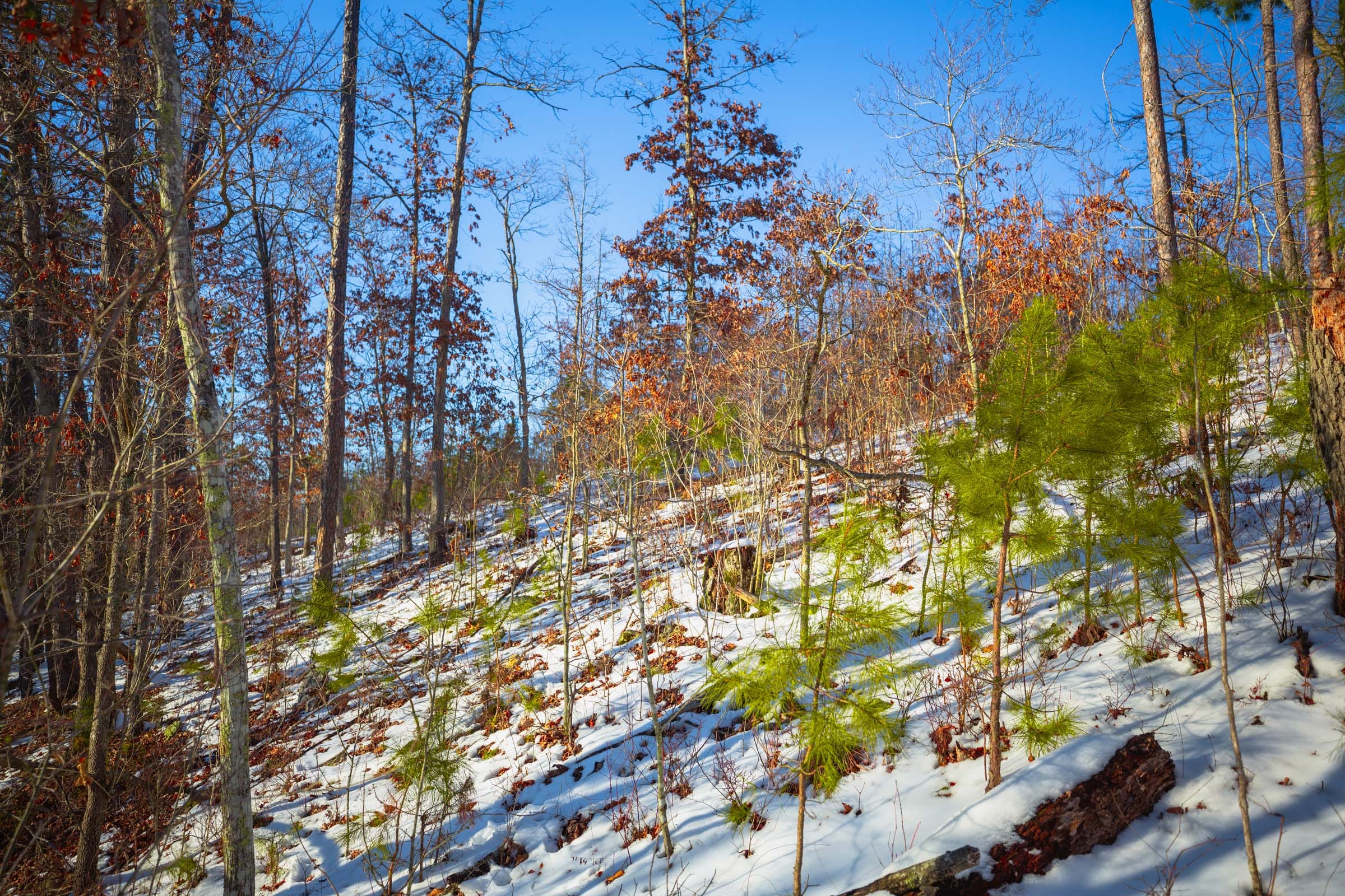 Sleepy Hollow Phase I Tract 36 photo 9