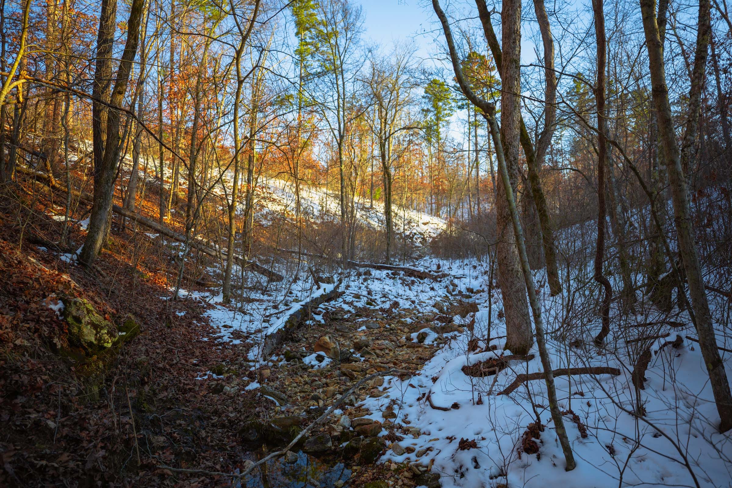 Sleepy Hollow Phase I Tract 36 photo 1