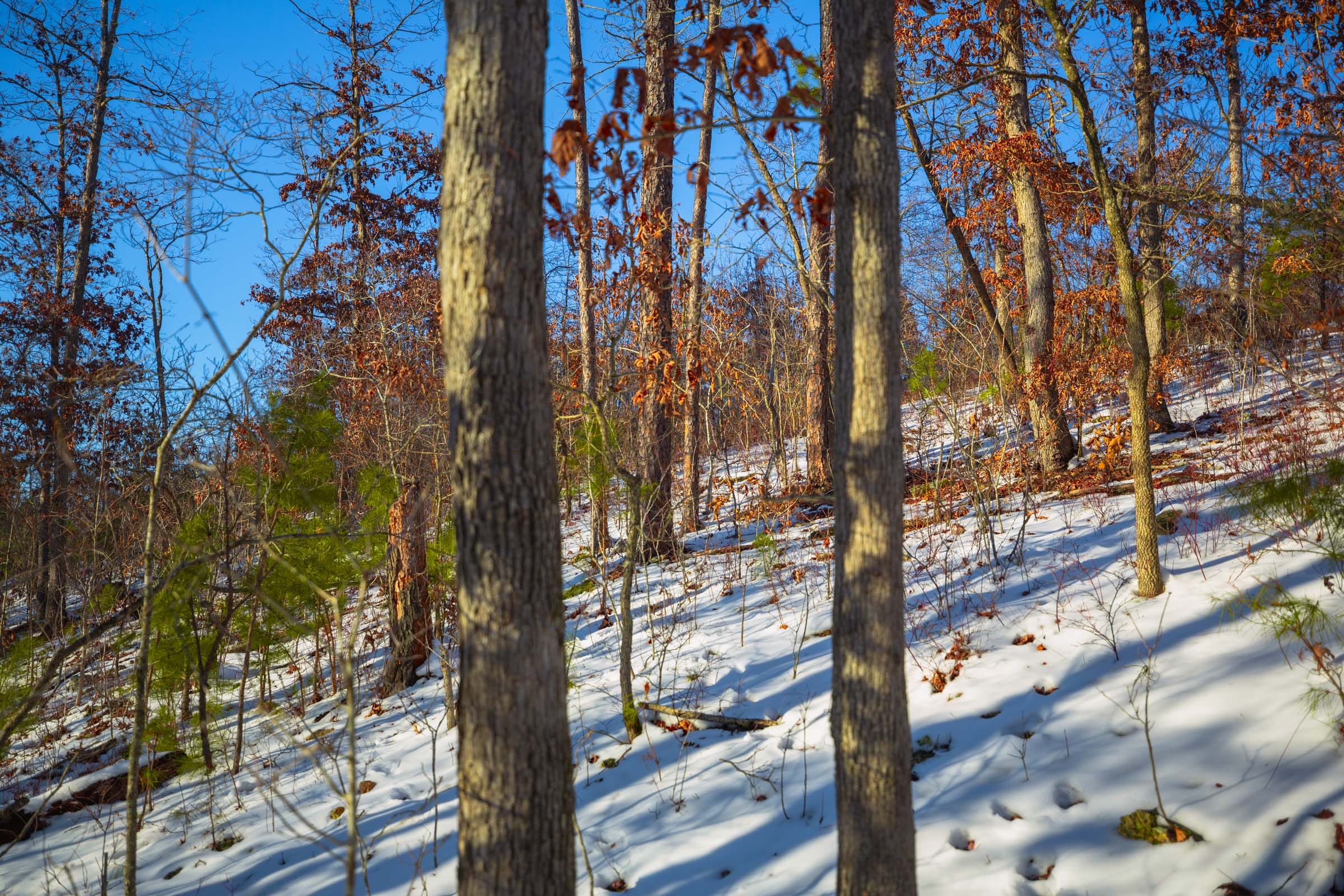Sleepy Hollow Phase I Tract 36 photo 5