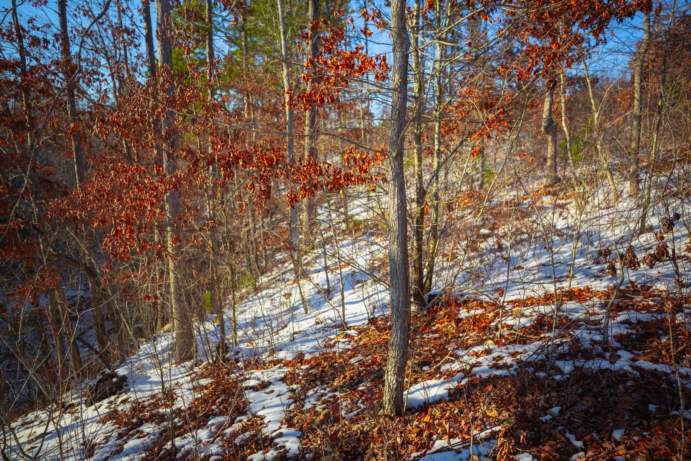 Sleepy Hollow Phase I Tract 36 photo 4