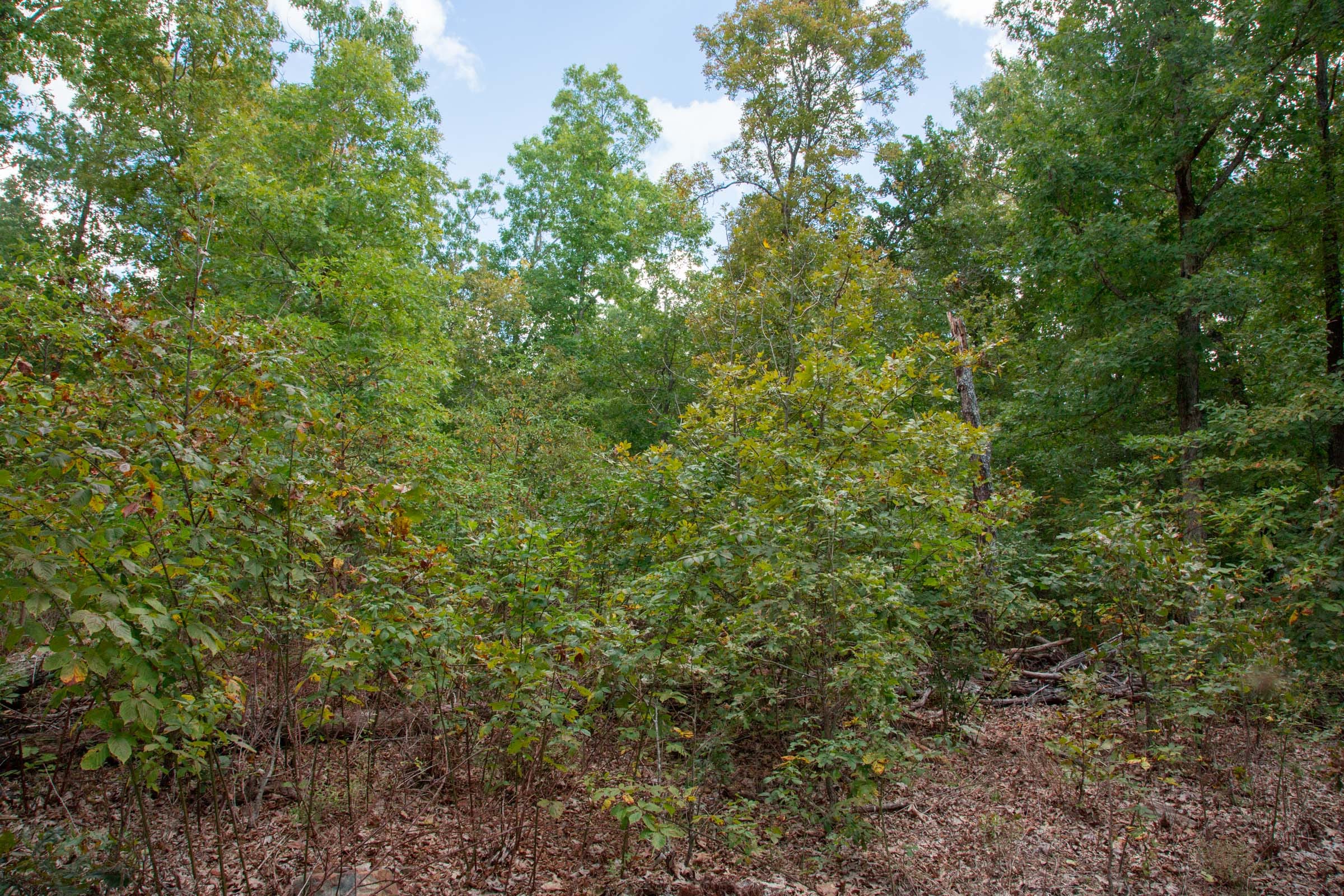 Wagon Wheel Ranch Tract 18 photo 3