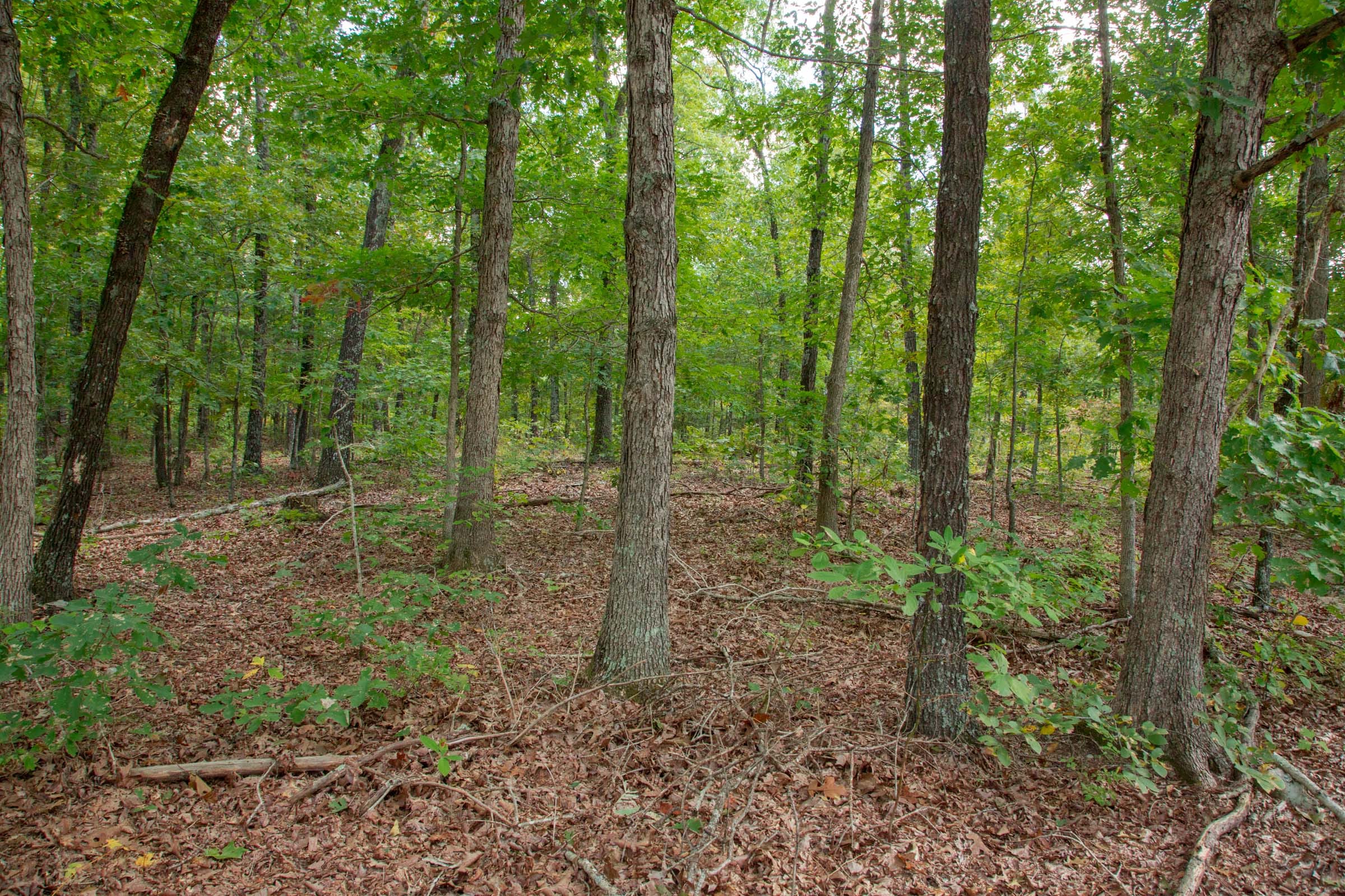 Wagon Wheel Ranch Tract 18 photo 1