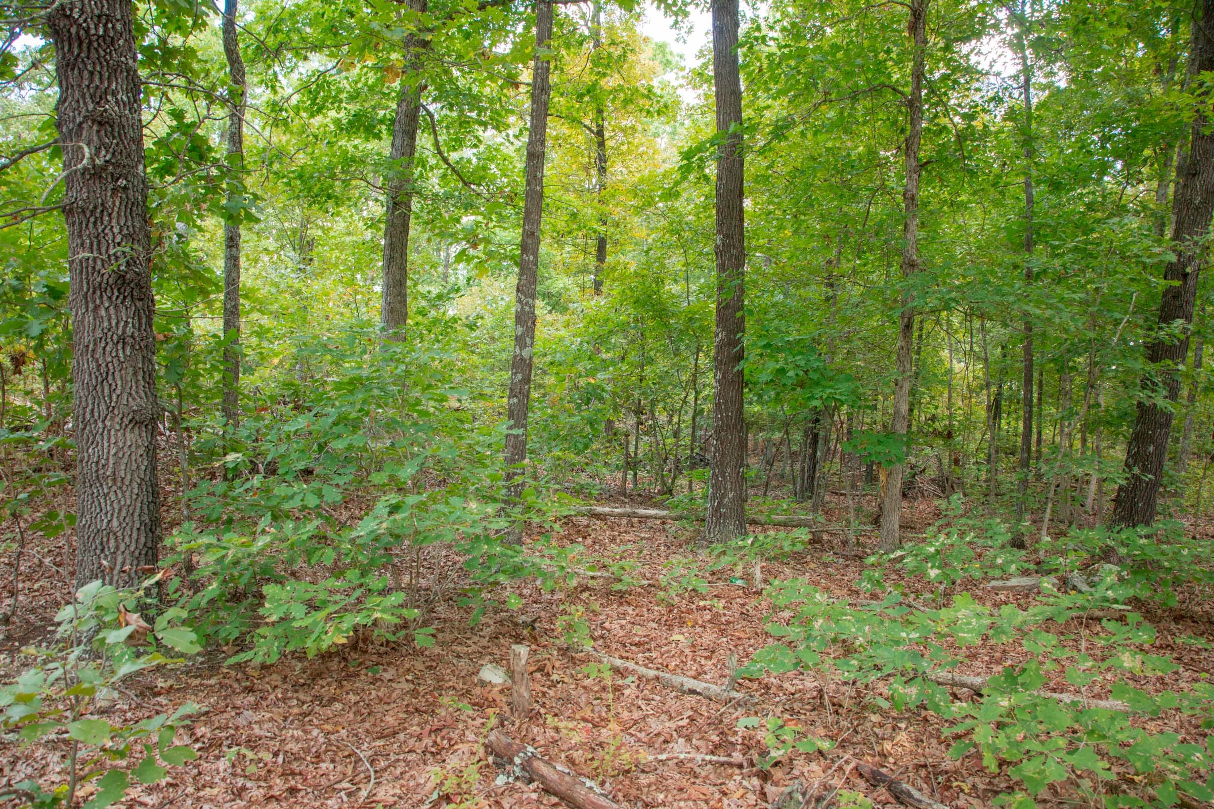 Wagon Wheel Ranch Tract 18 photo 4
