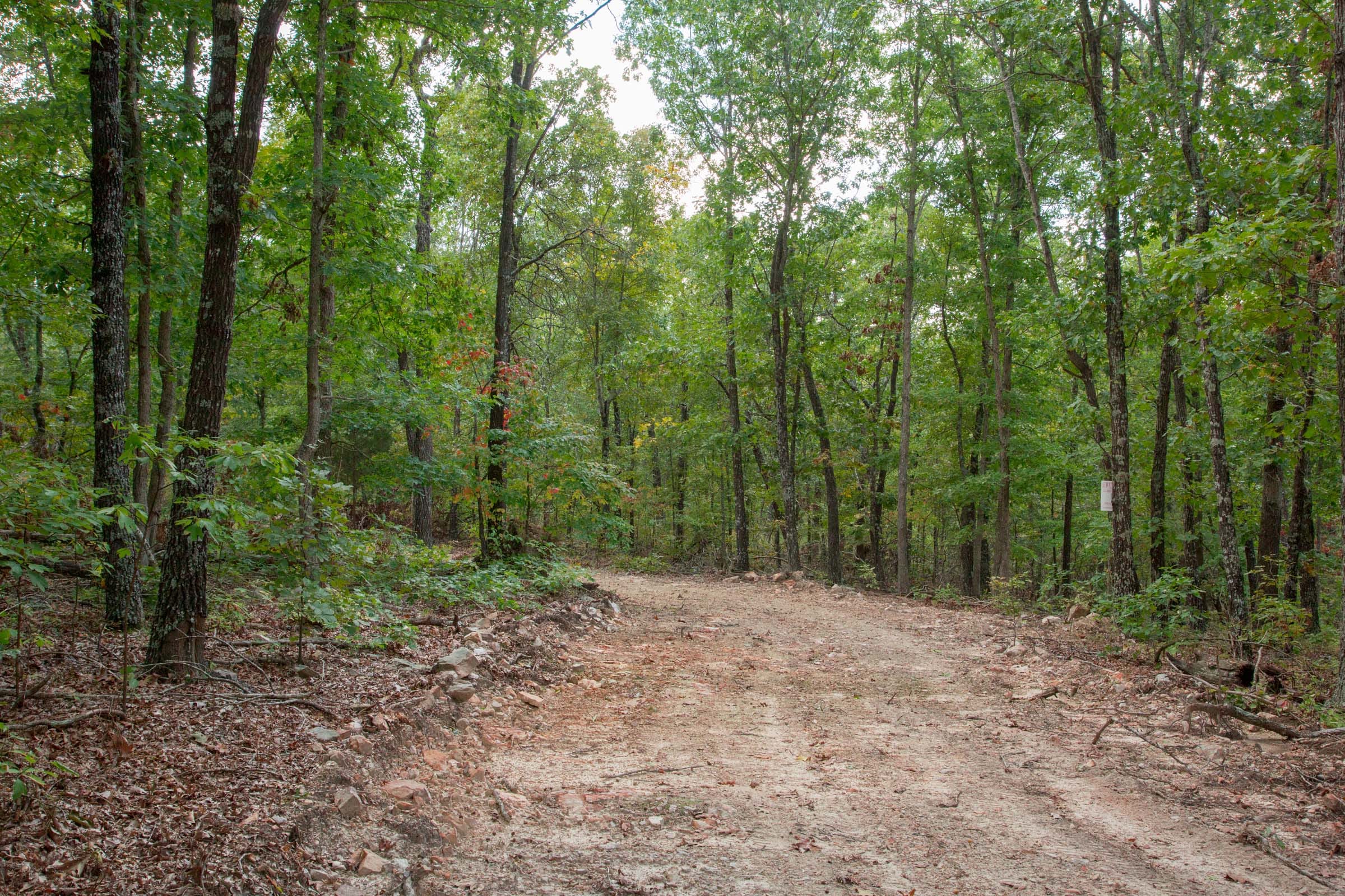 Wagon Wheel Ranch Tract 18 photo 5