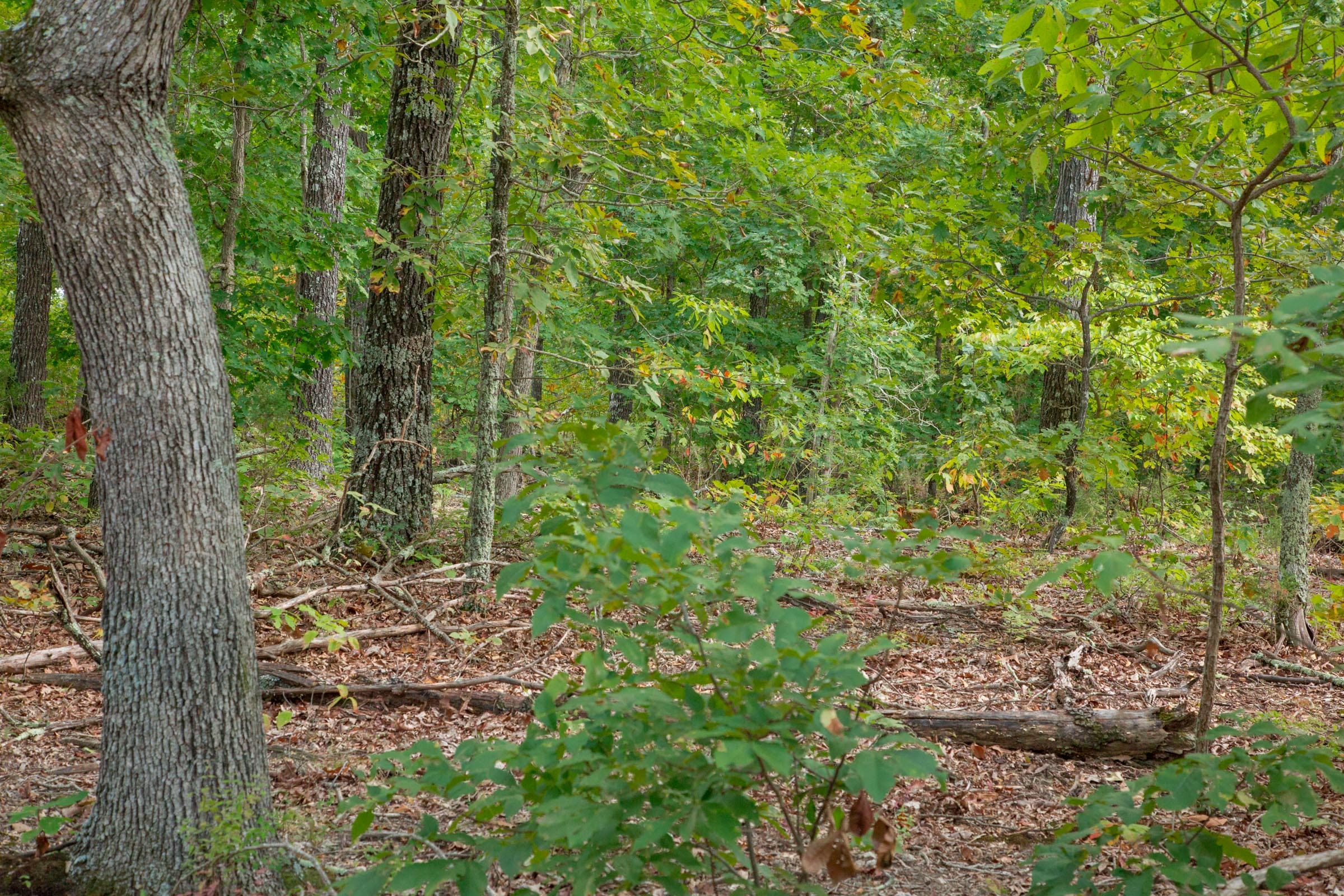 Wagon Wheel Ranch Tract 18 photo 6