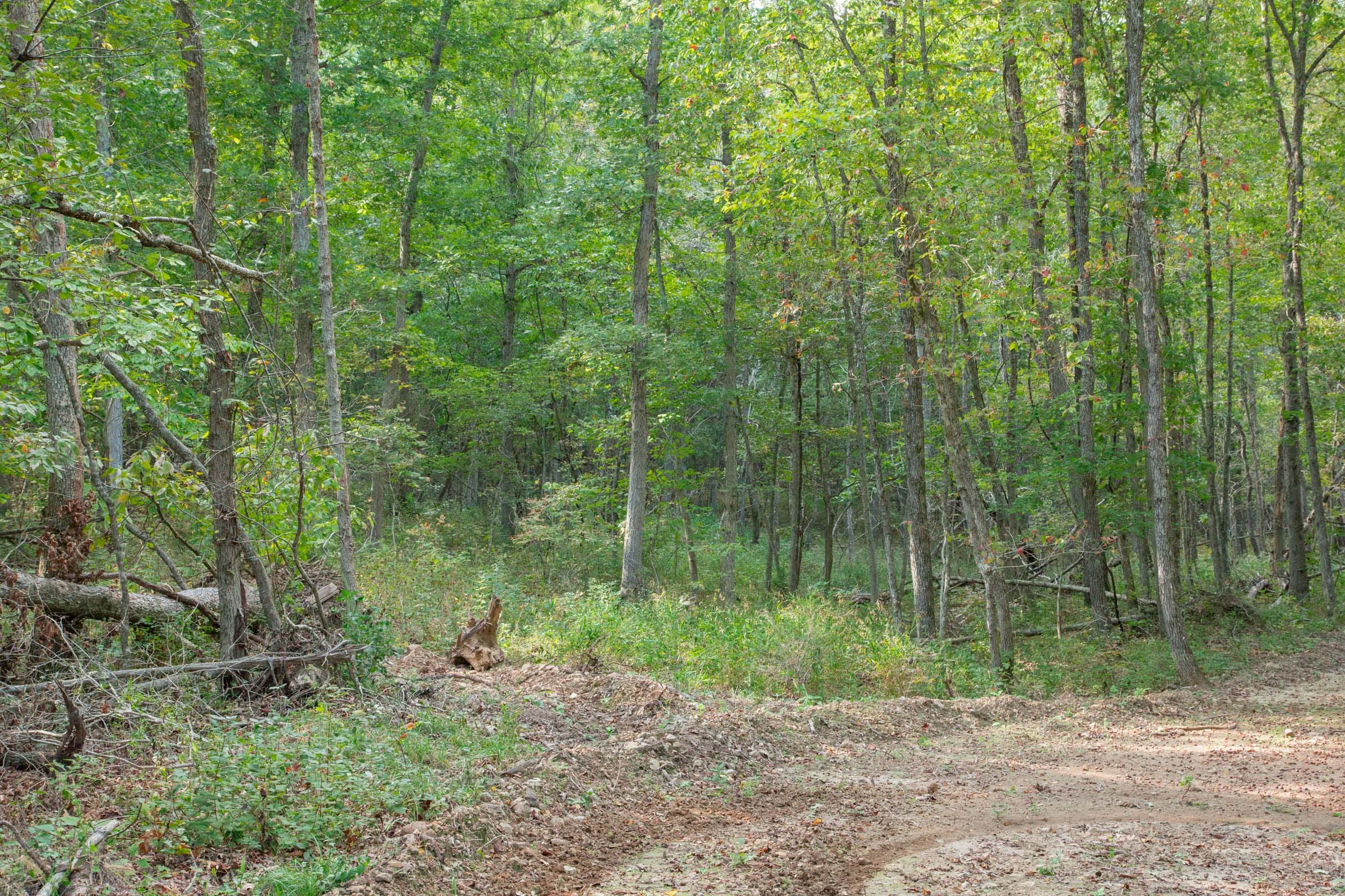 Wagon Wheel Ranch Tract 18 photo 7