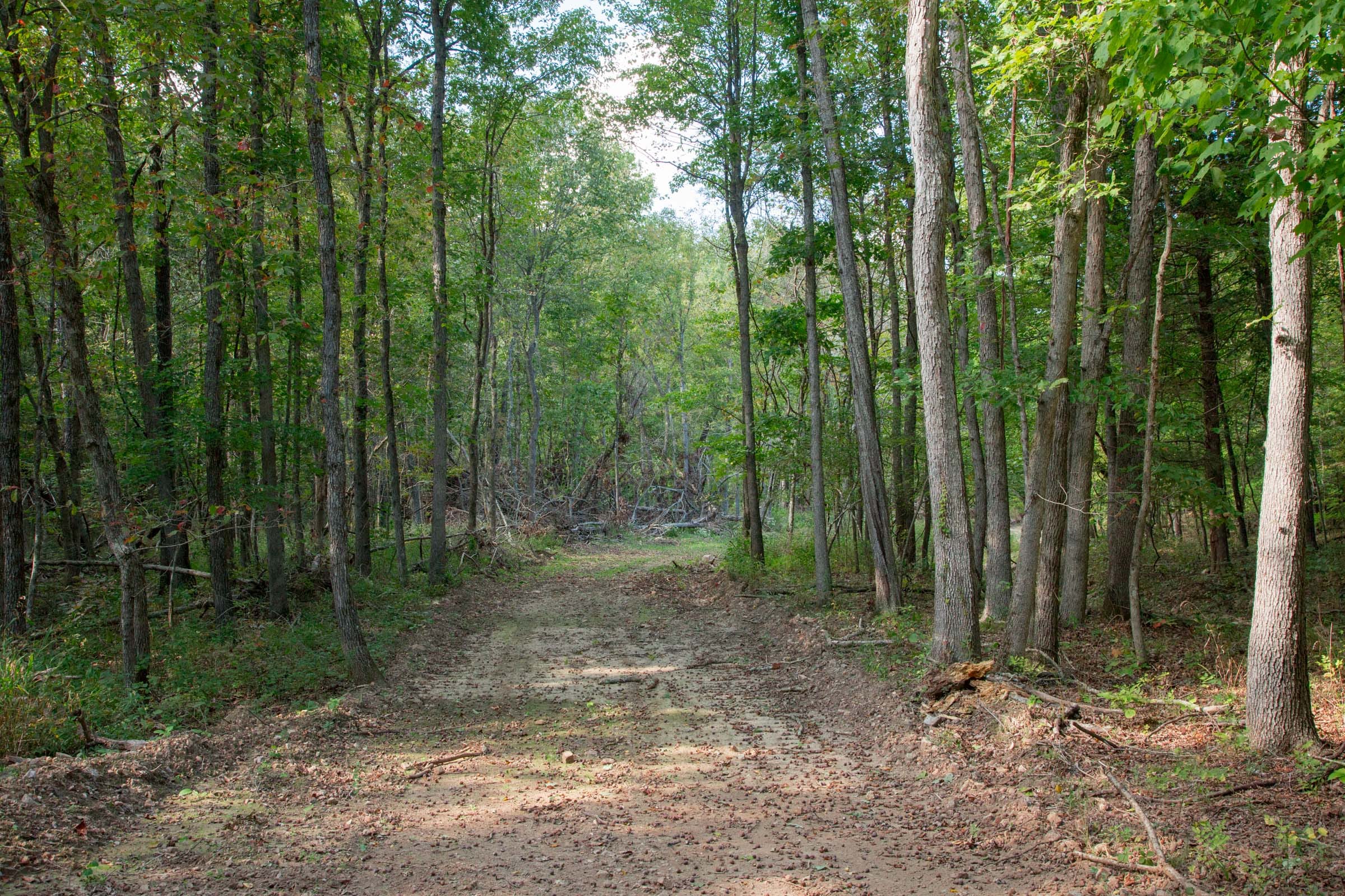 Wagon Wheel Ranch Tract 18 photo 10