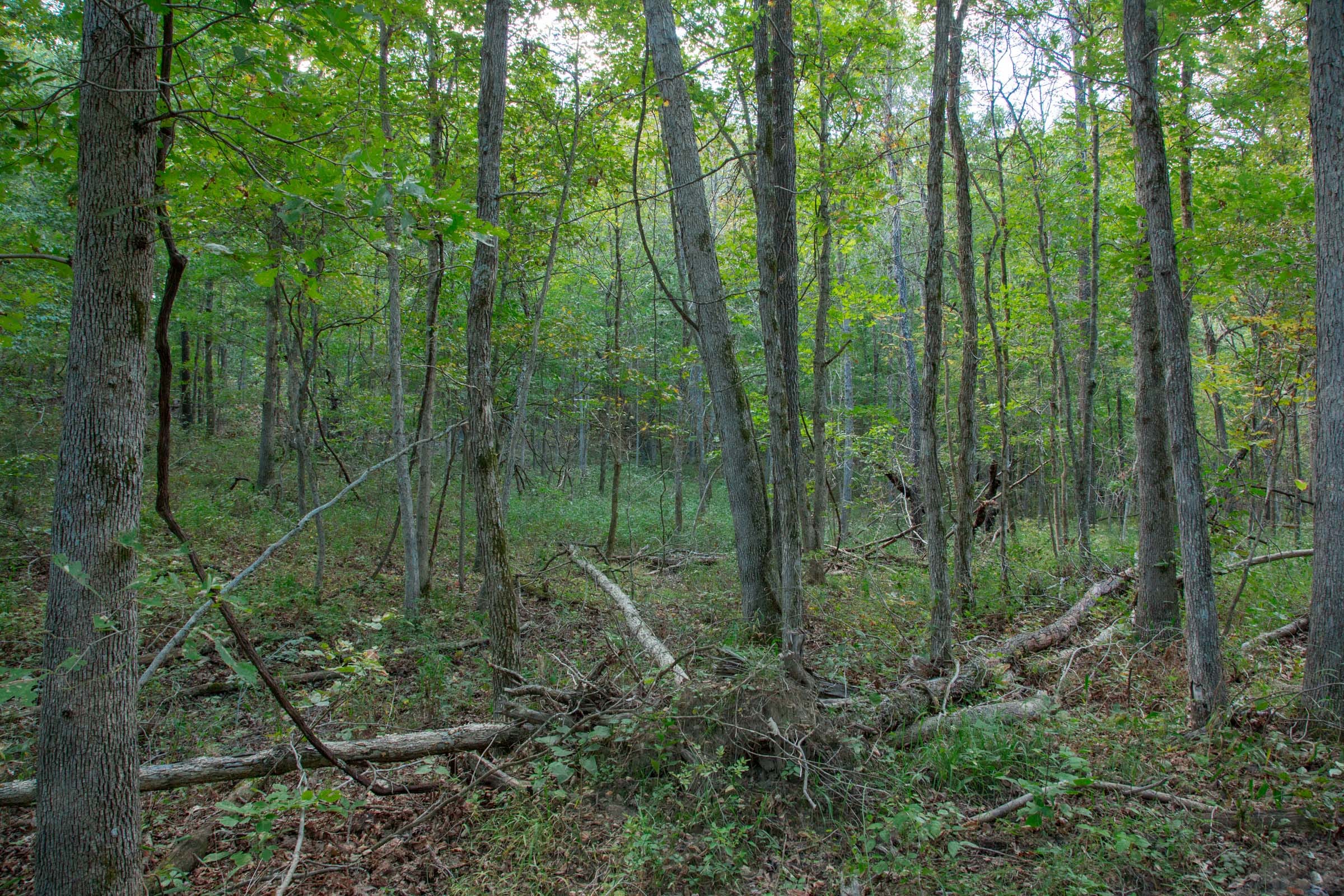 Wagon Wheel Ranch Tract 18 photo 9