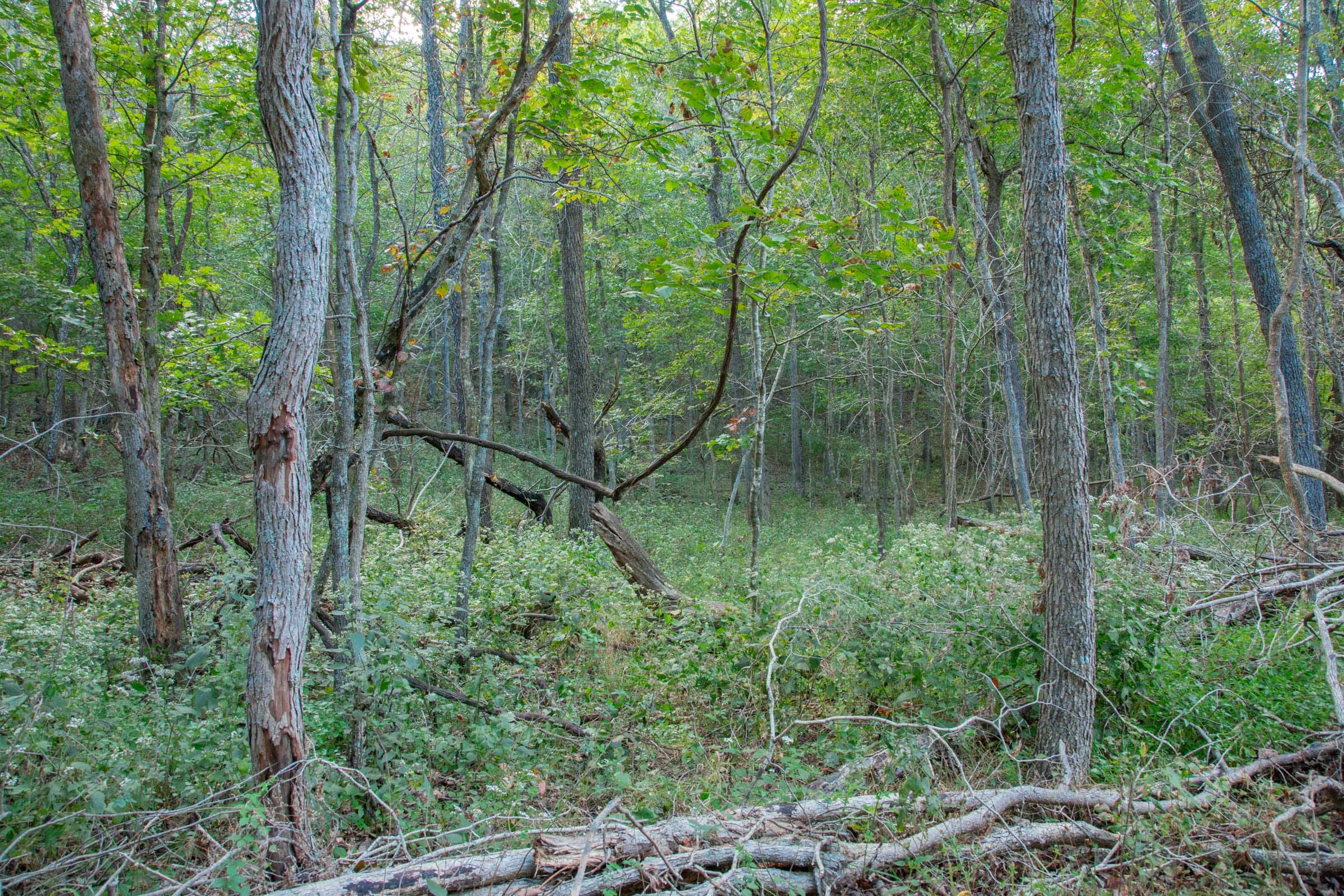 Wagon Wheel Ranch Tract 18 photo 11