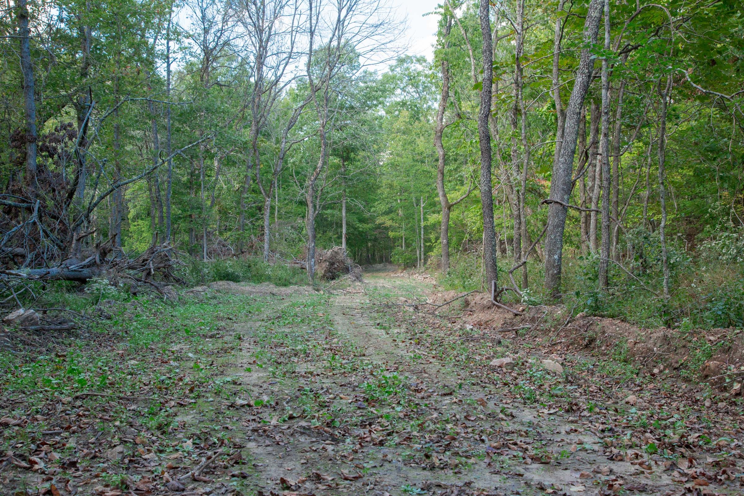 Wagon Wheel Ranch Tract 18 photo 13