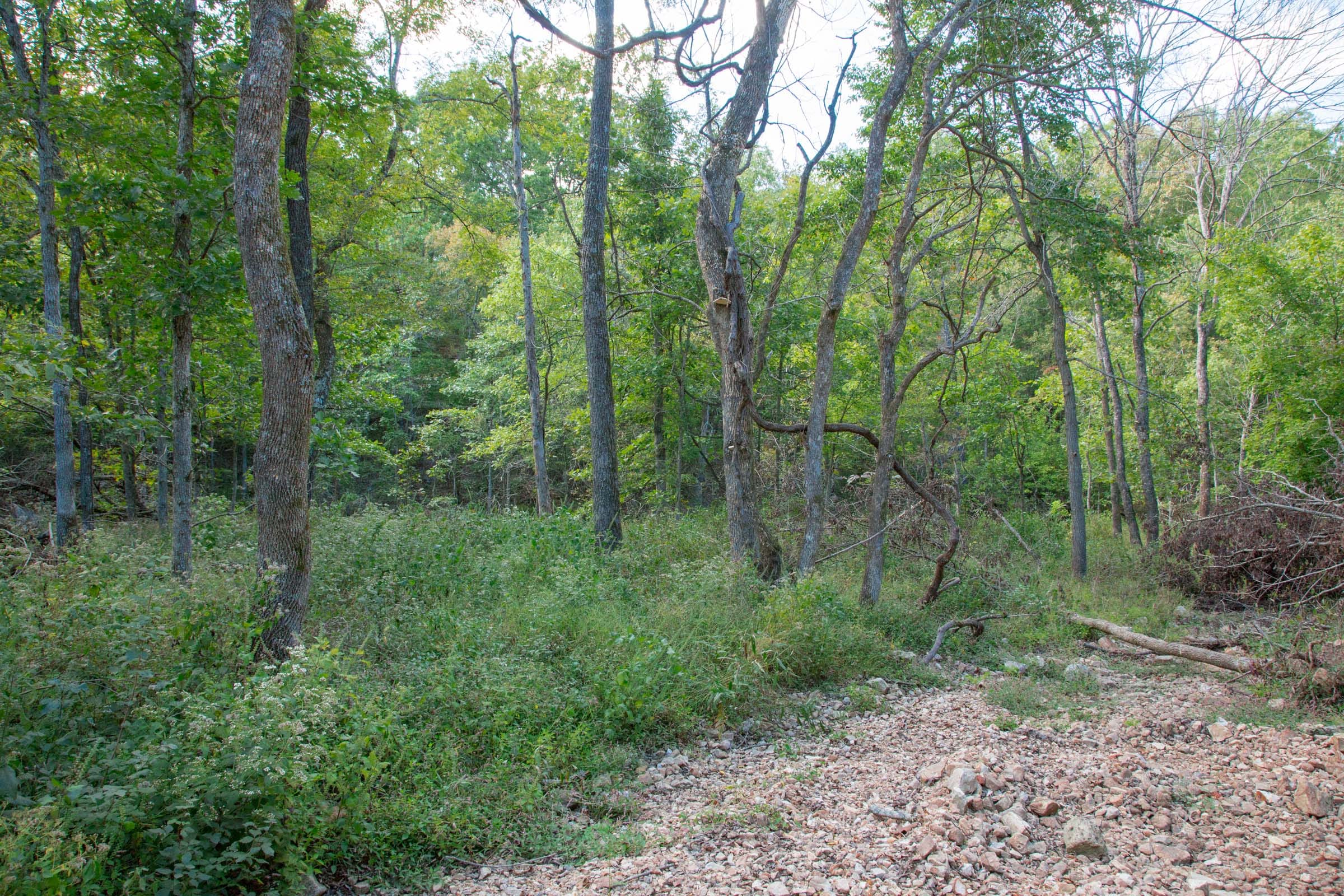 Wagon Wheel Ranch Tract 18 photo 15