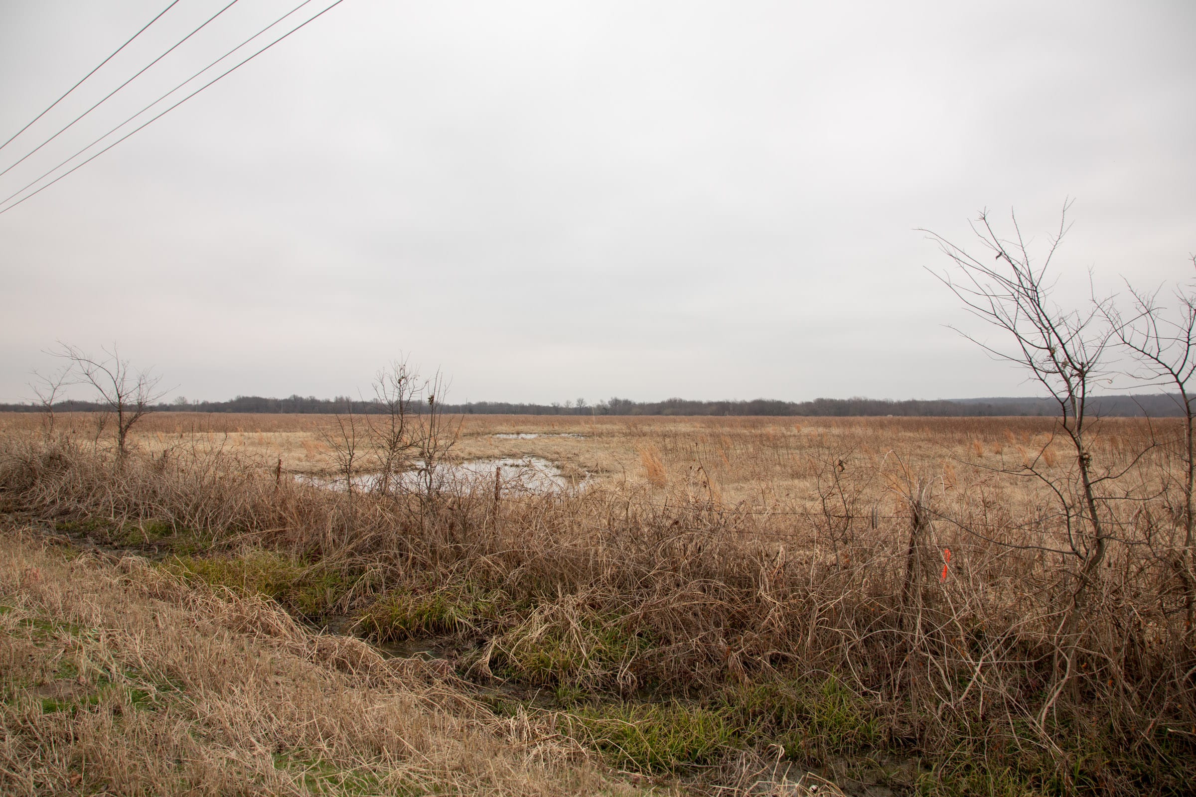 Canadian Plains Tract 33 photo 3