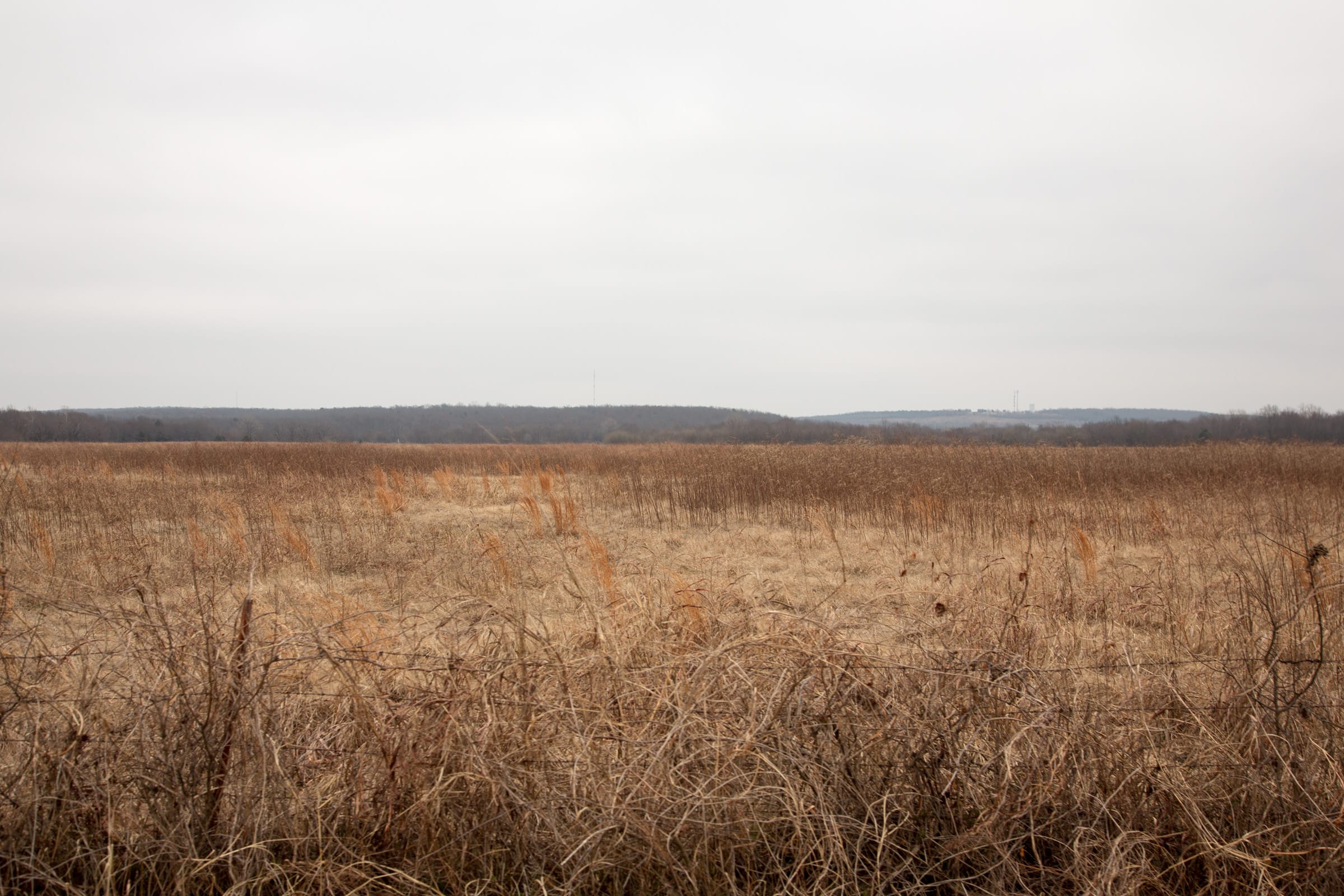 Canadian Plains Tract 33 photo 4