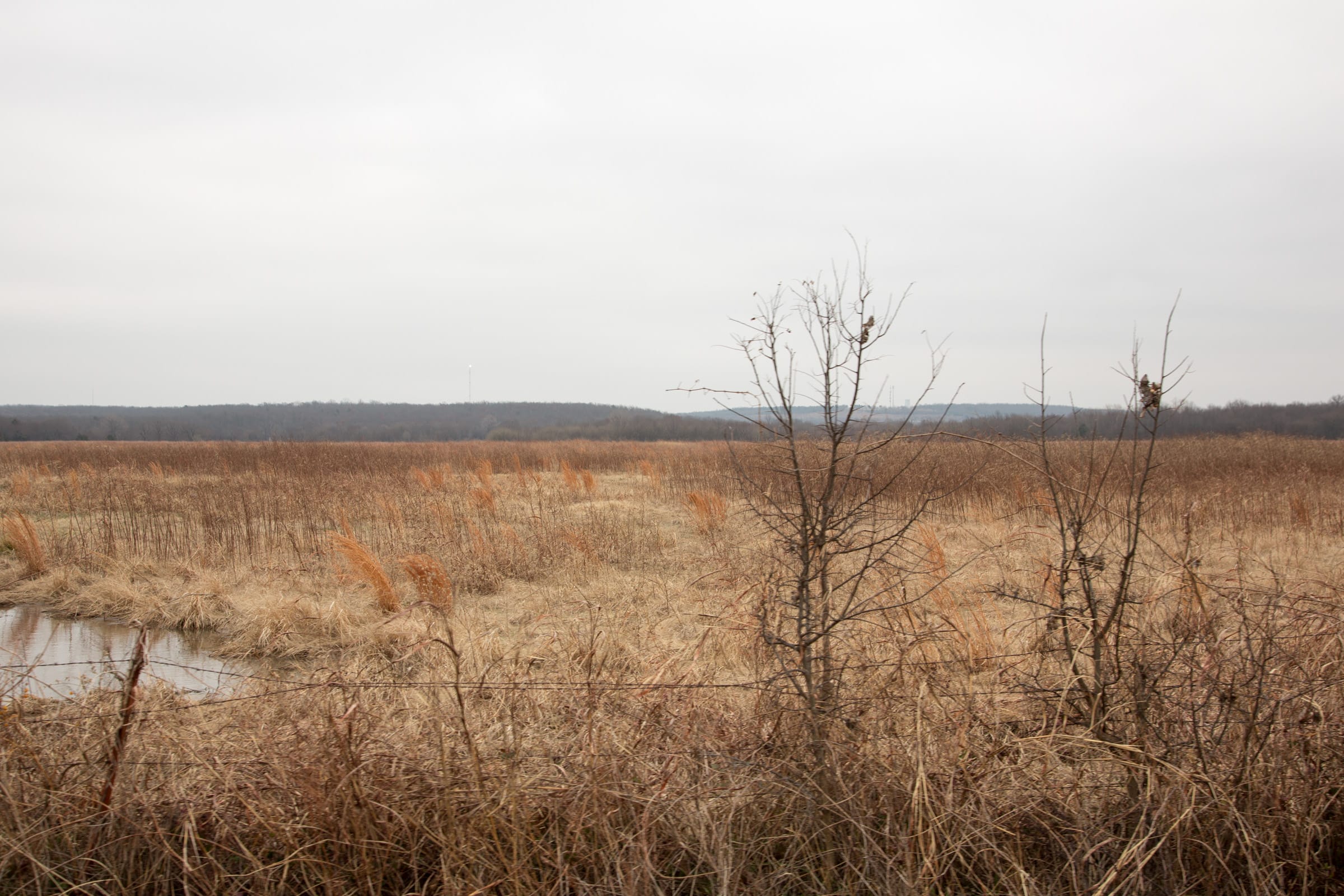Canadian Plains Tract 33 photo 5