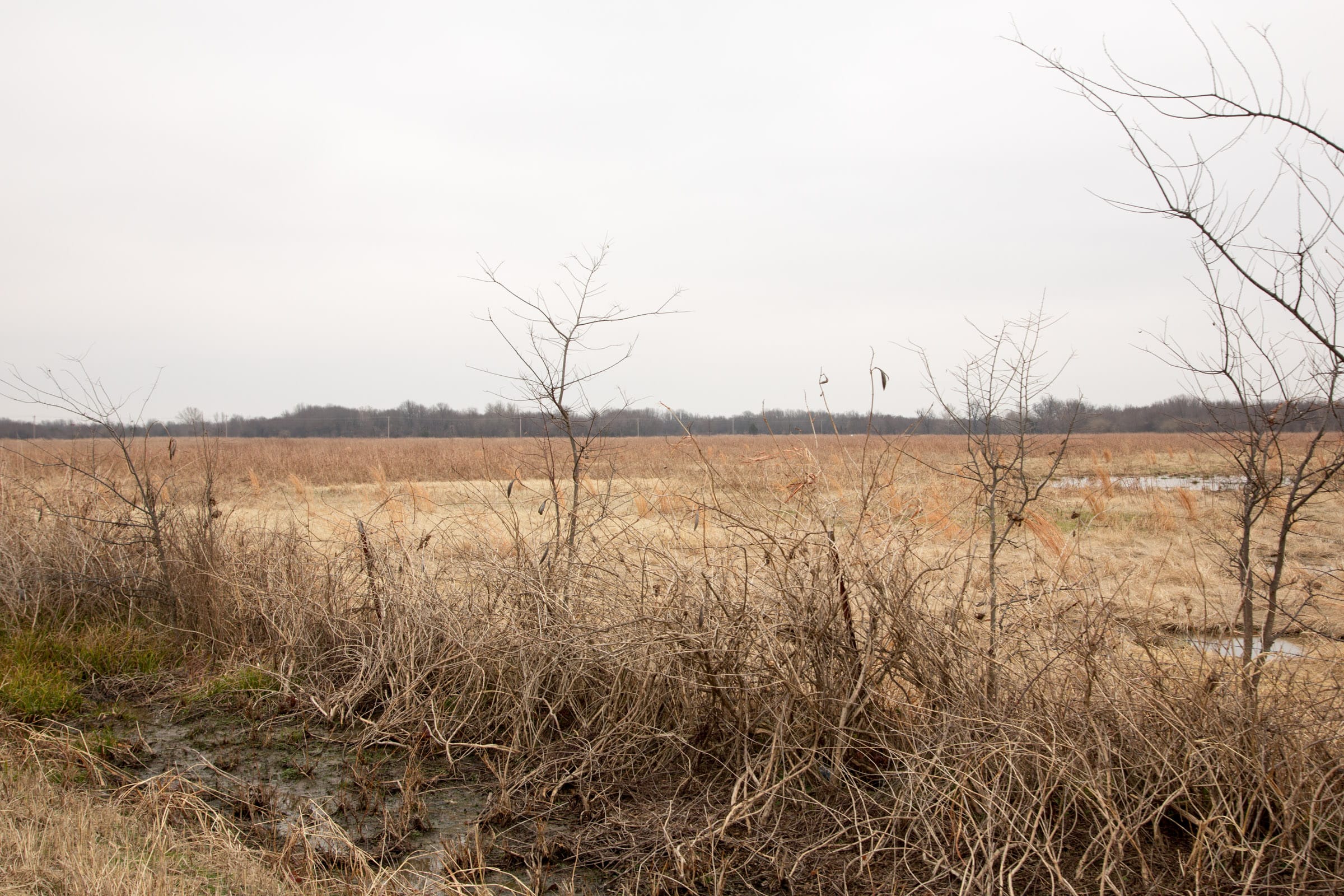 Canadian Plains Tract 33 photo 6