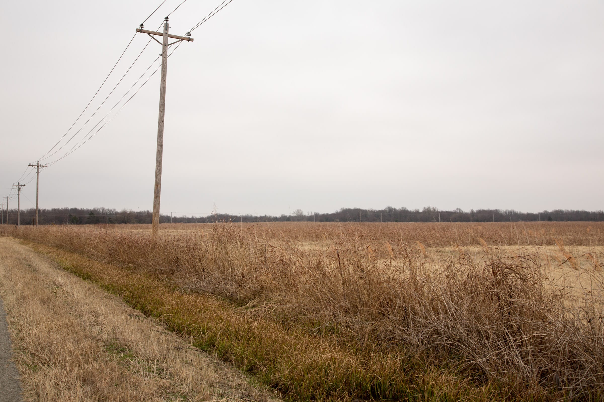 Canadian Plains Tract 33 photo 7