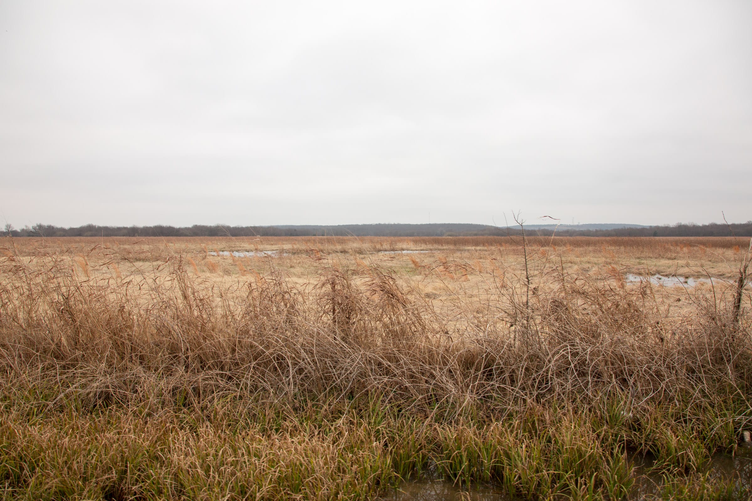 Canadian Plains Tract 33 photo 9