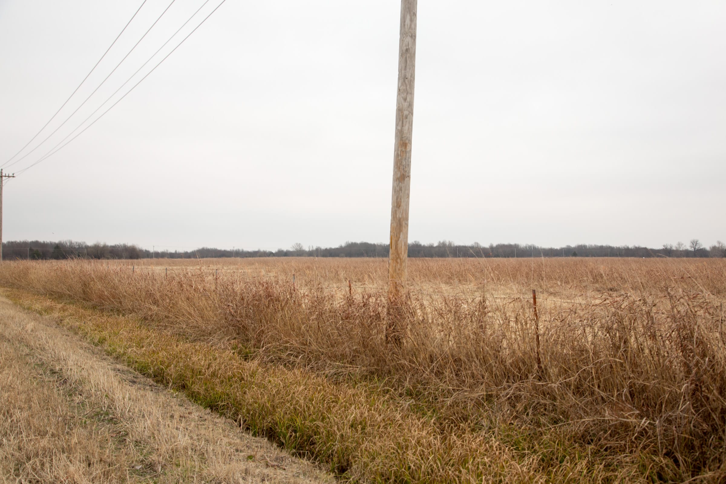 Canadian Plains Tract 33 photo 10