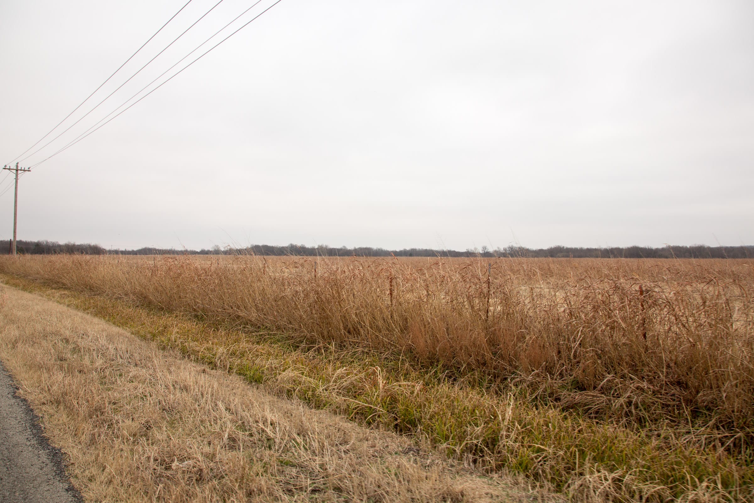 Canadian Plains Tract 33 photo 12