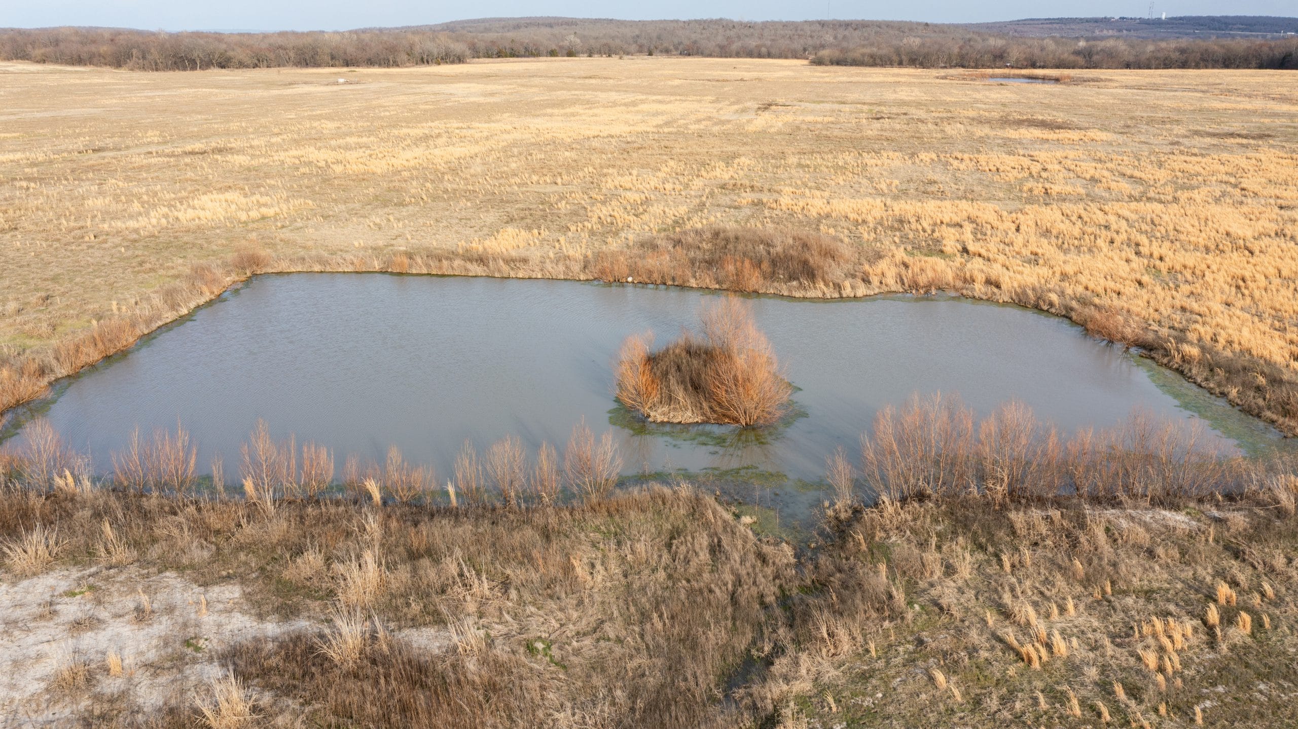 Canadian Plains Tract 33 photo 2