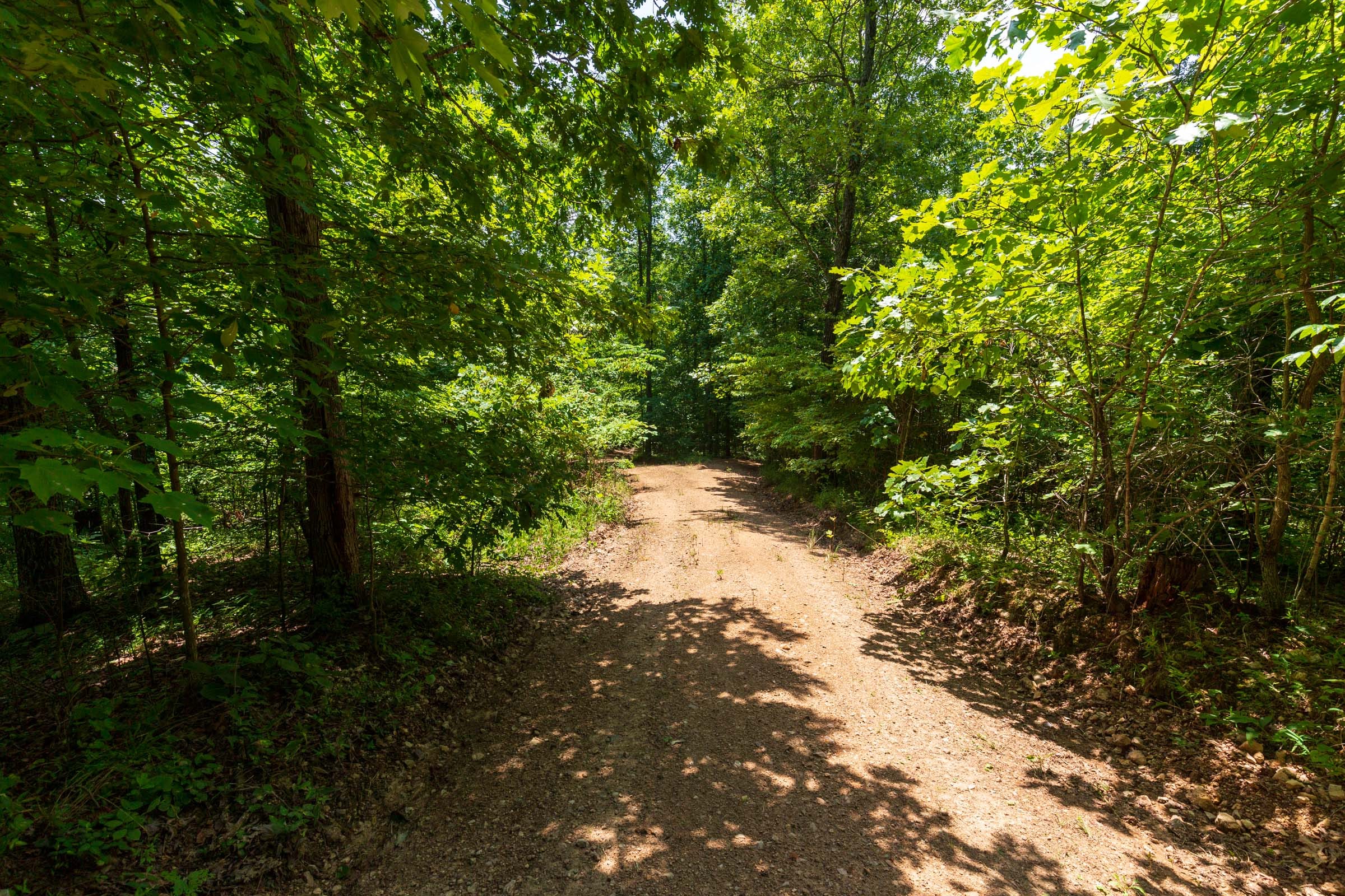 Cypress Ridge Tract 12 photo 1