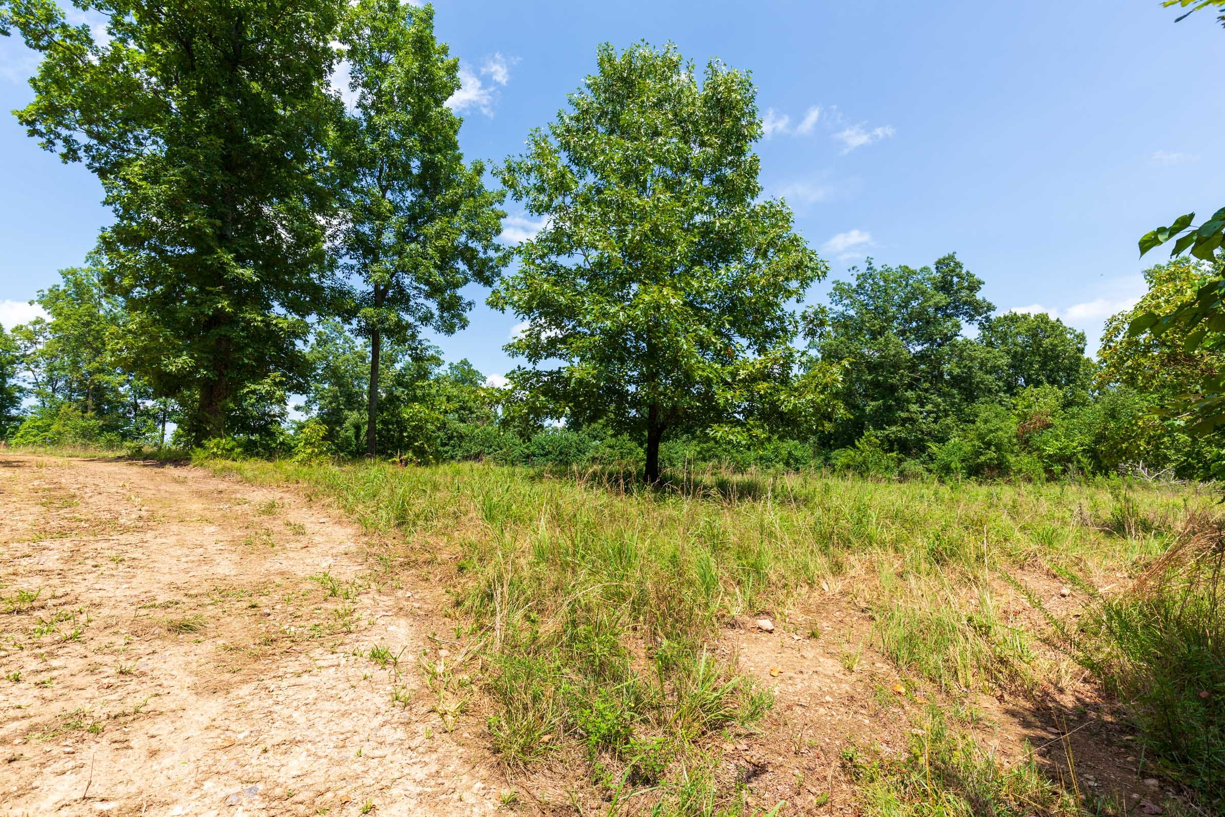Cypress Ridge Tract 12 photo 8
