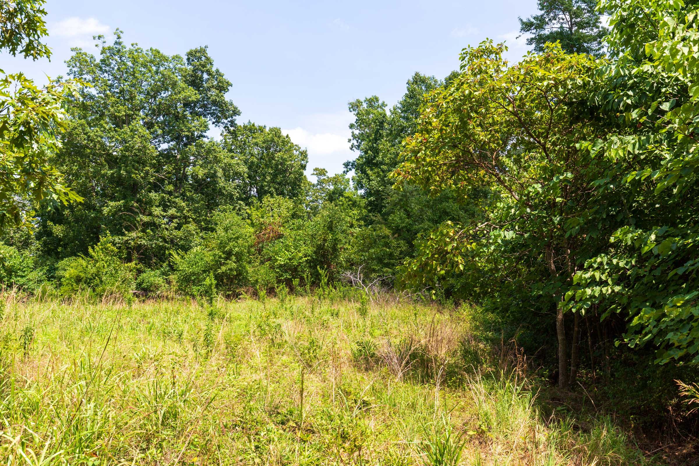 Cypress Ridge Tract 12 photo 10