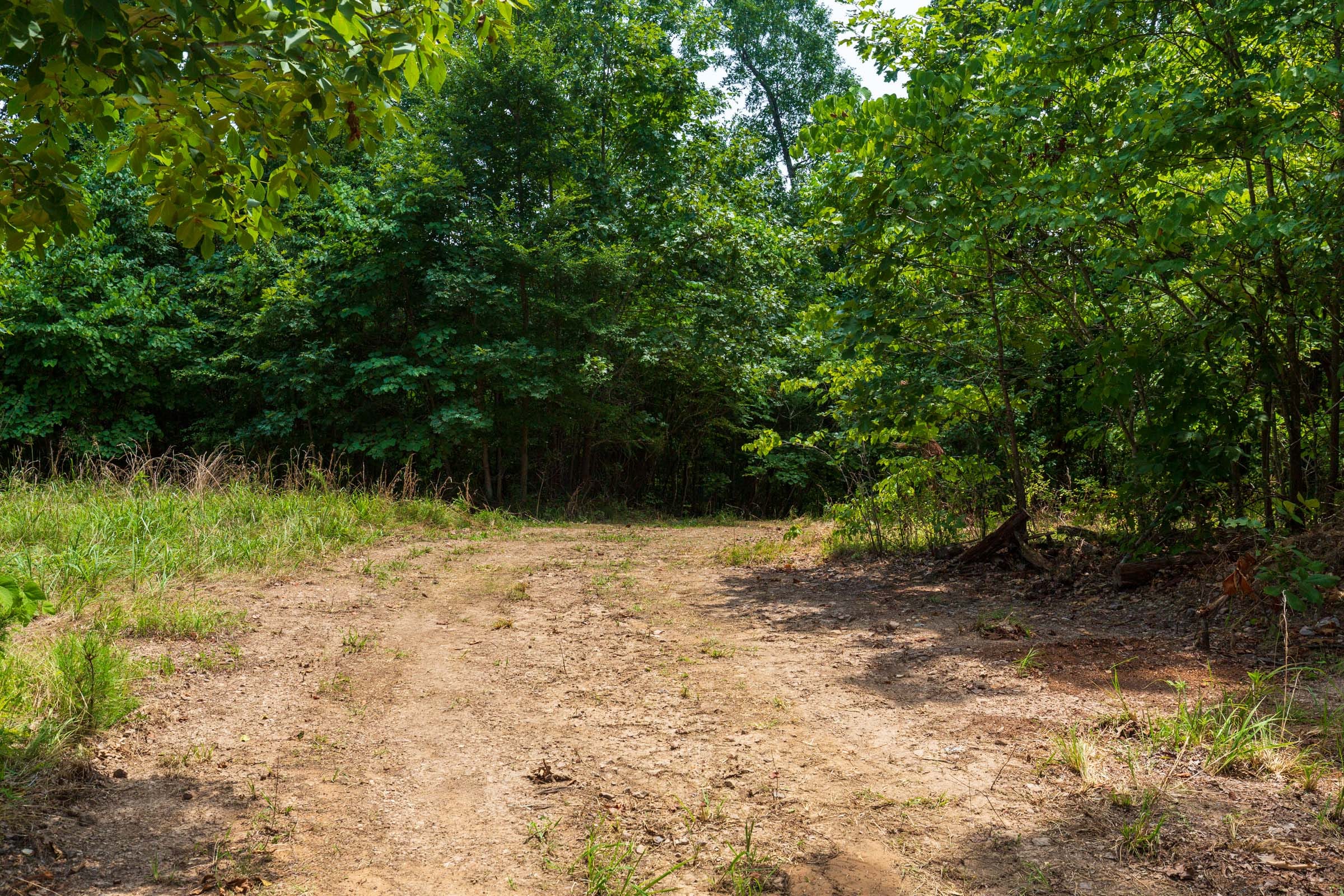 Cypress Ridge Tract 12 photo 5