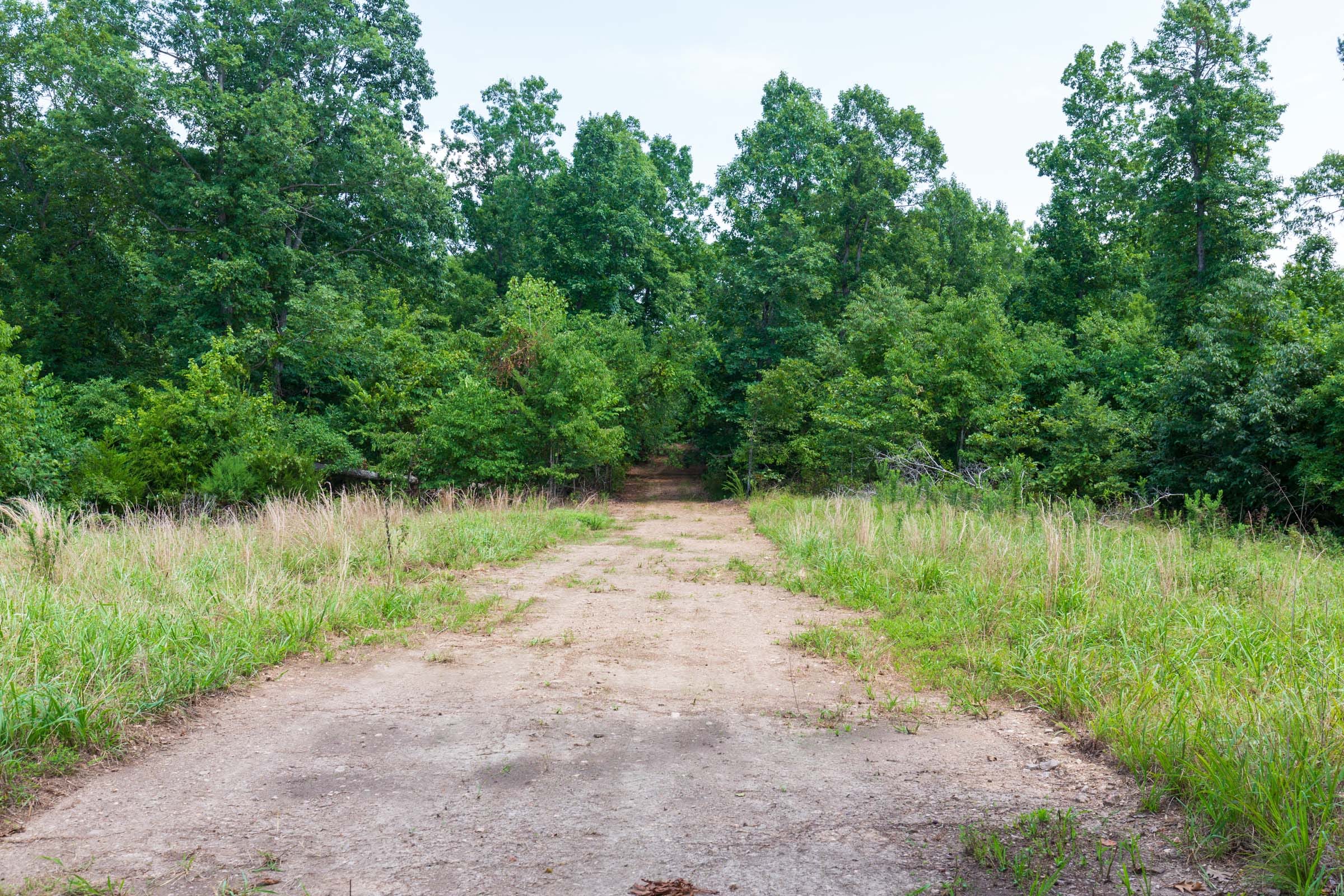 Cypress Ridge Tract 12 photo 12
