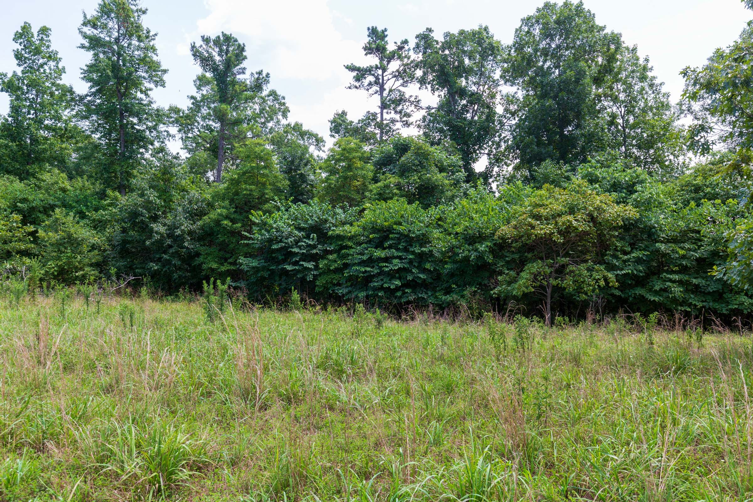 Cypress Ridge Tract 12 photo 11