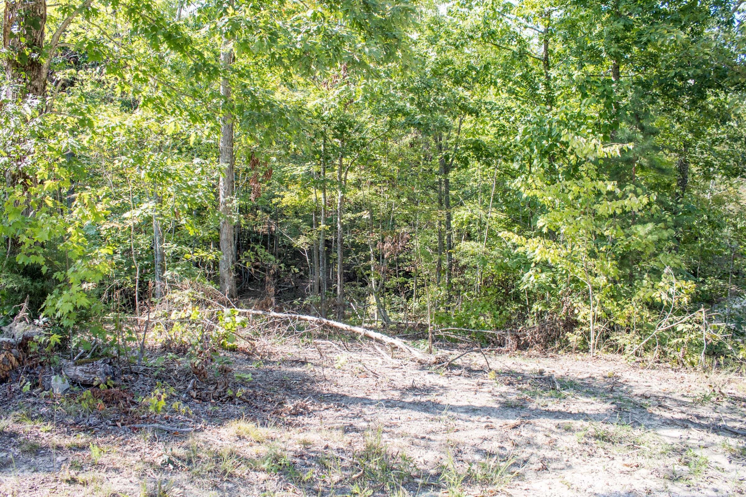 Buck Run Ridge Tract 33 photo 6
