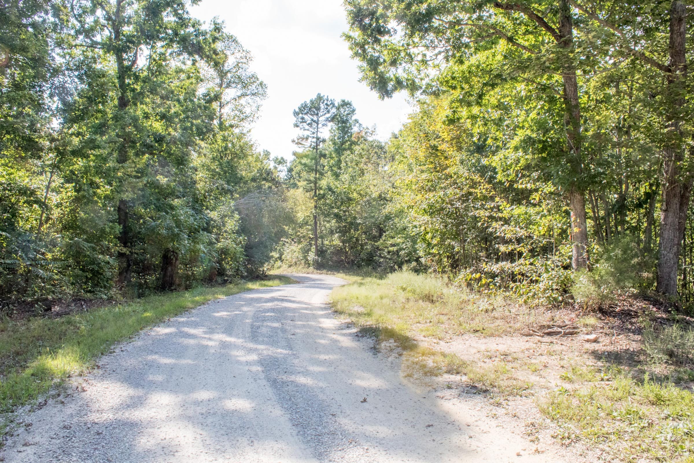 Buck Run Ridge Tract 33 photo 7