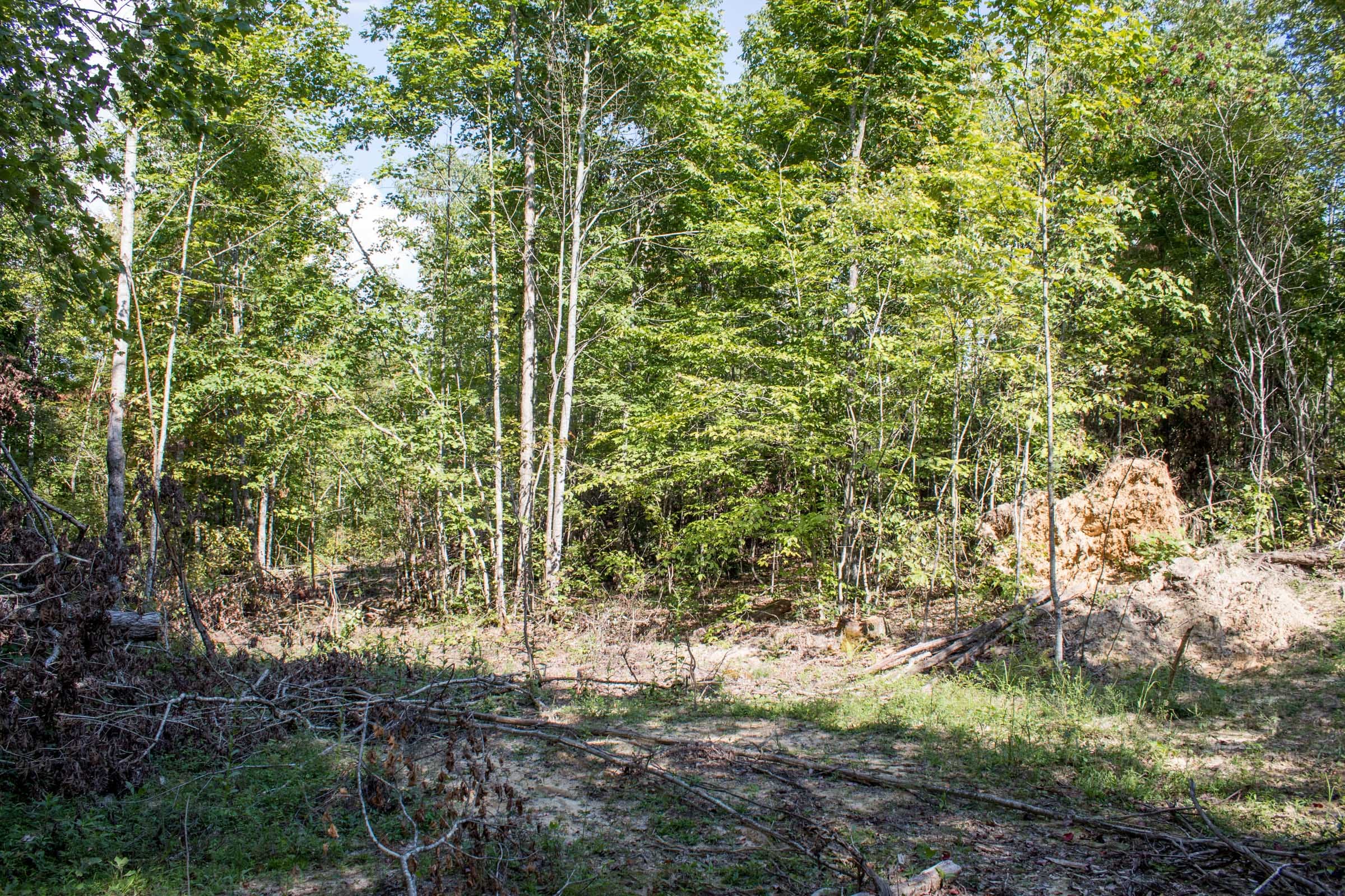 Buck Run Ridge Tract 33 photo 8