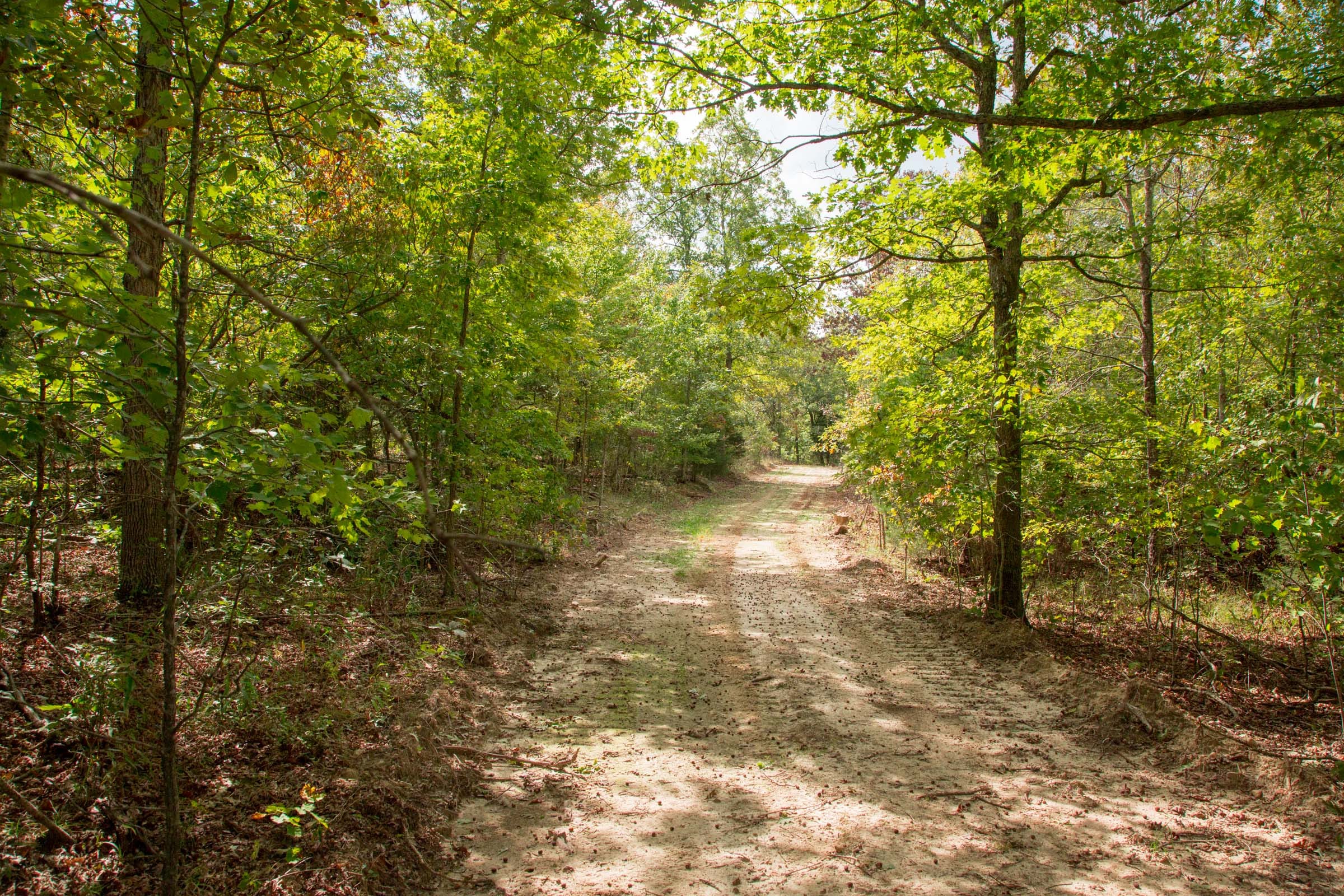 Wagon Wheel Ranch Tract 49 photo 2