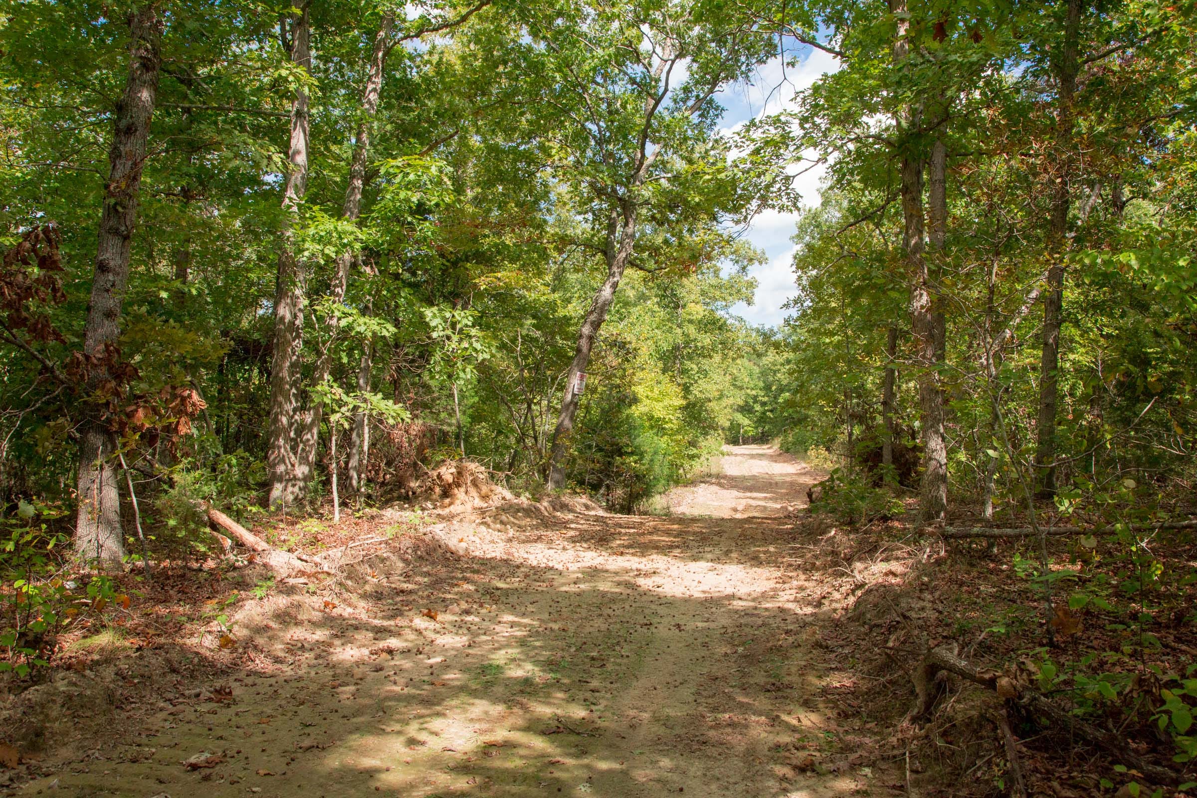 Wagon Wheel Ranch Tract 49 photo 6