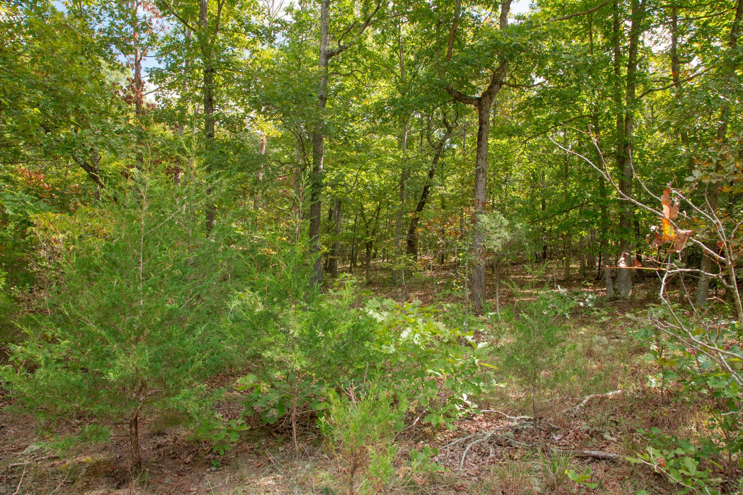 Wagon Wheel Ranch Tract 49 photo 5