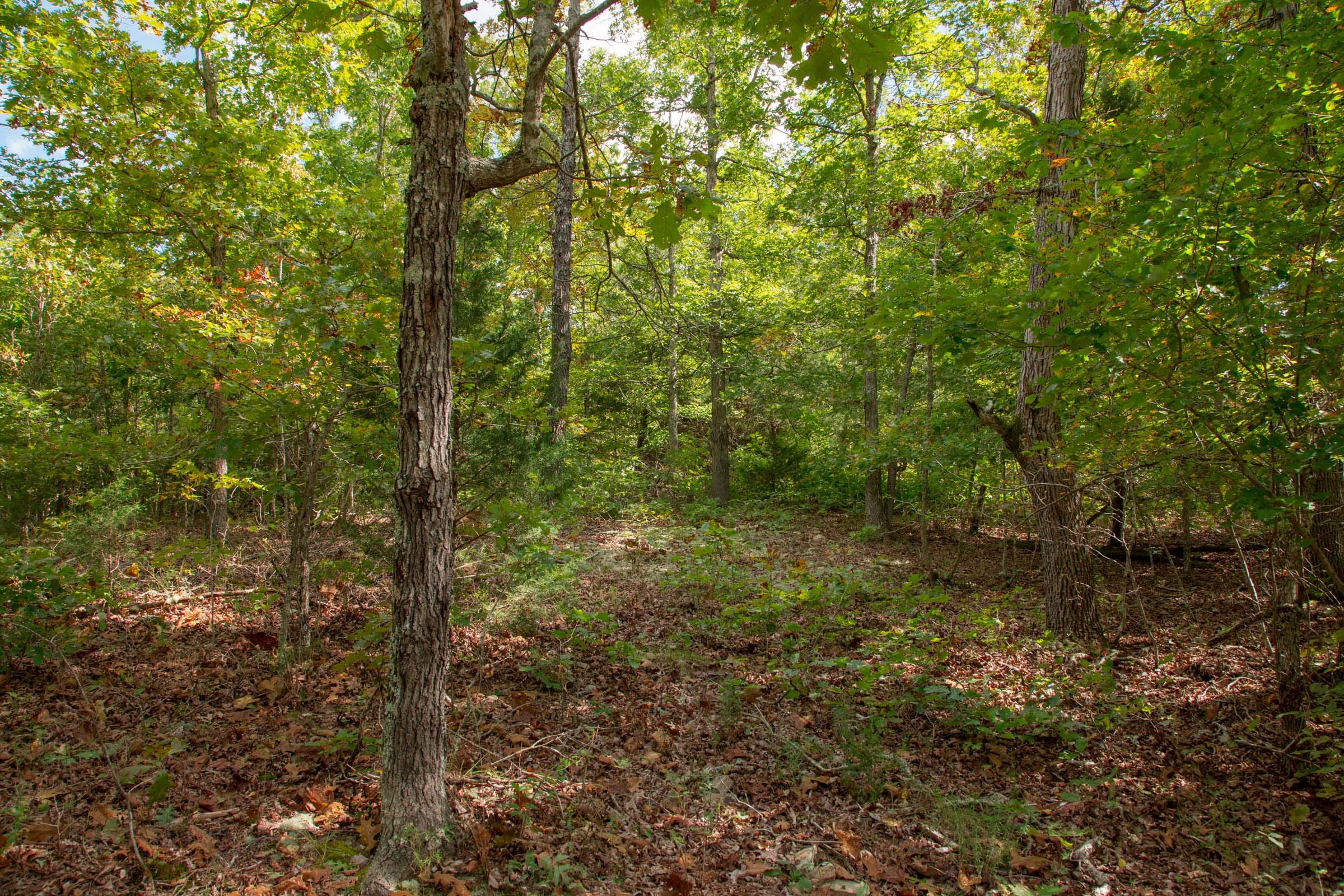Wagon Wheel Ranch Tract 49 photo 1
