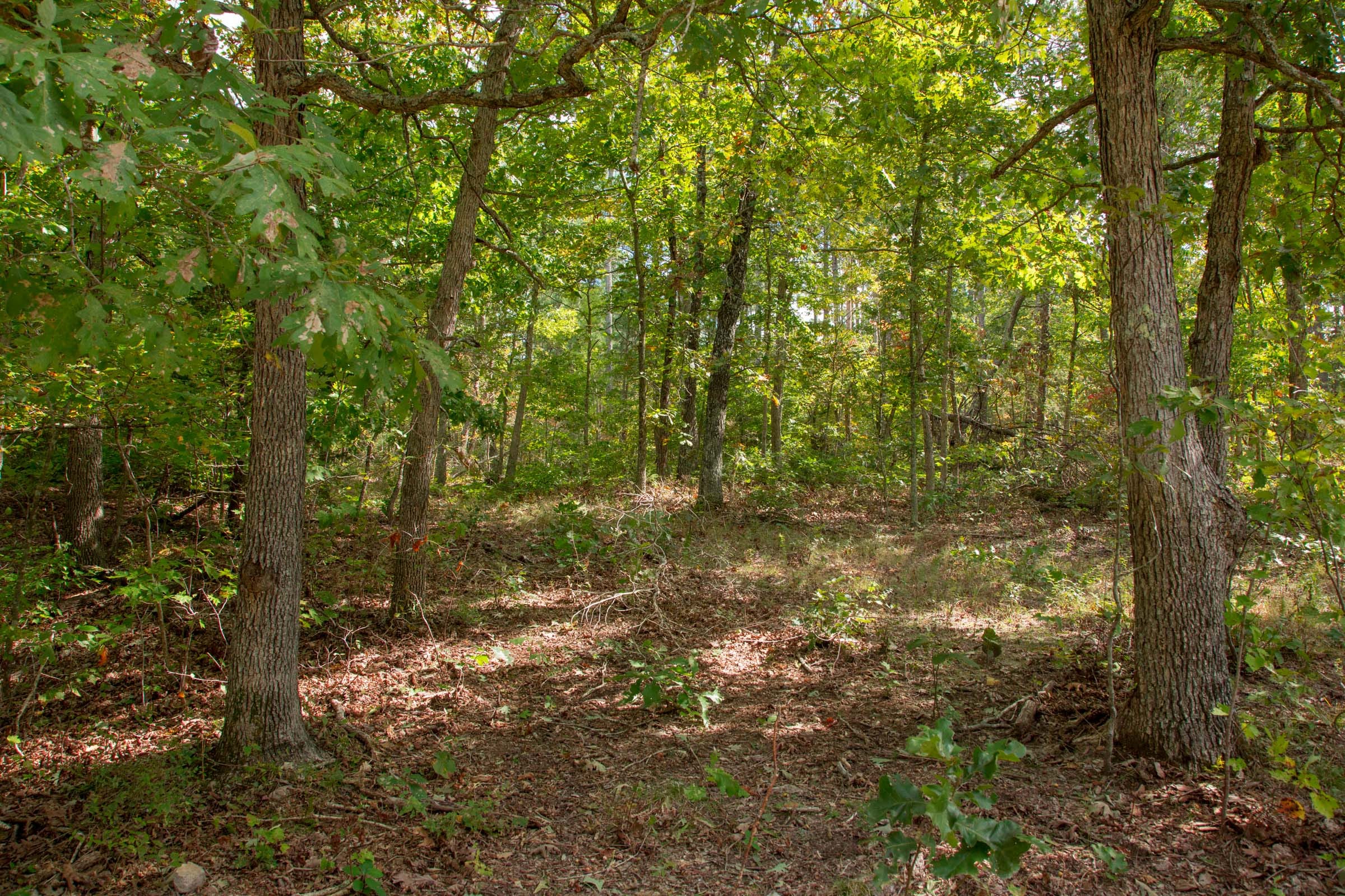 Wagon Wheel Ranch Tract 49 photo 7