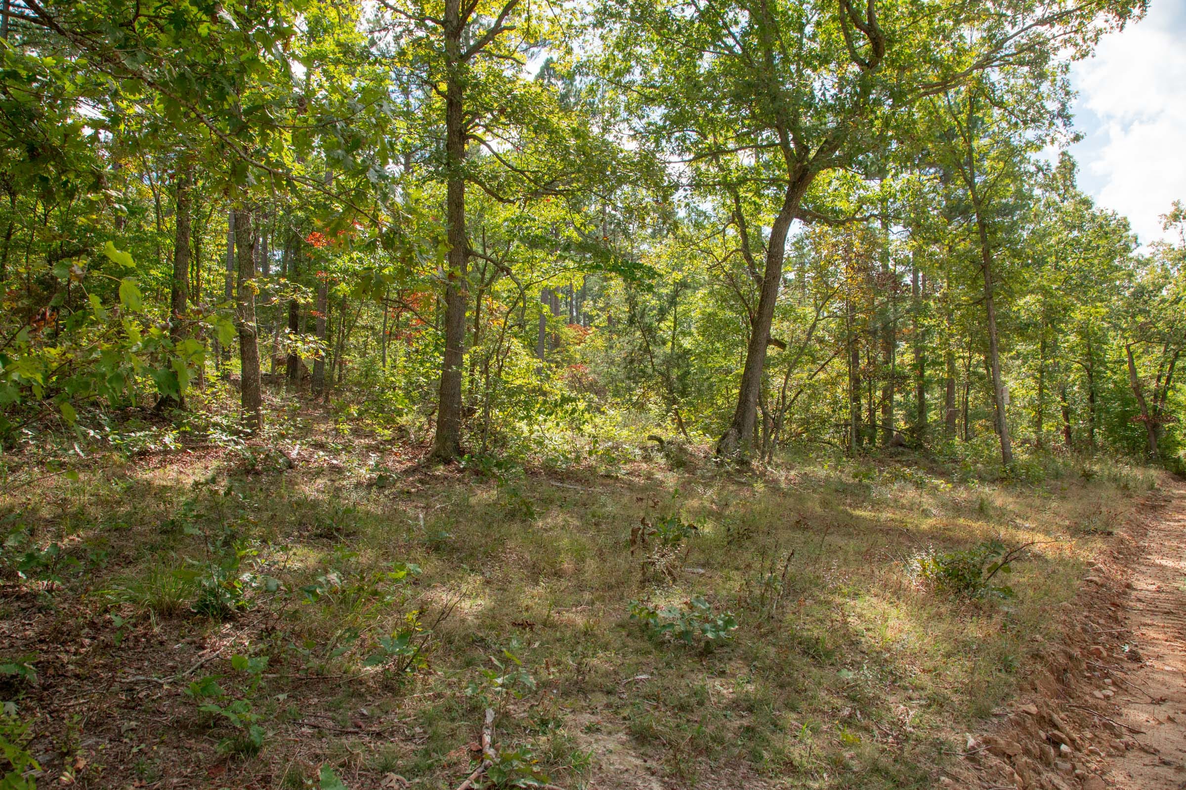 Wagon Wheel Ranch Tract 49 photo 8