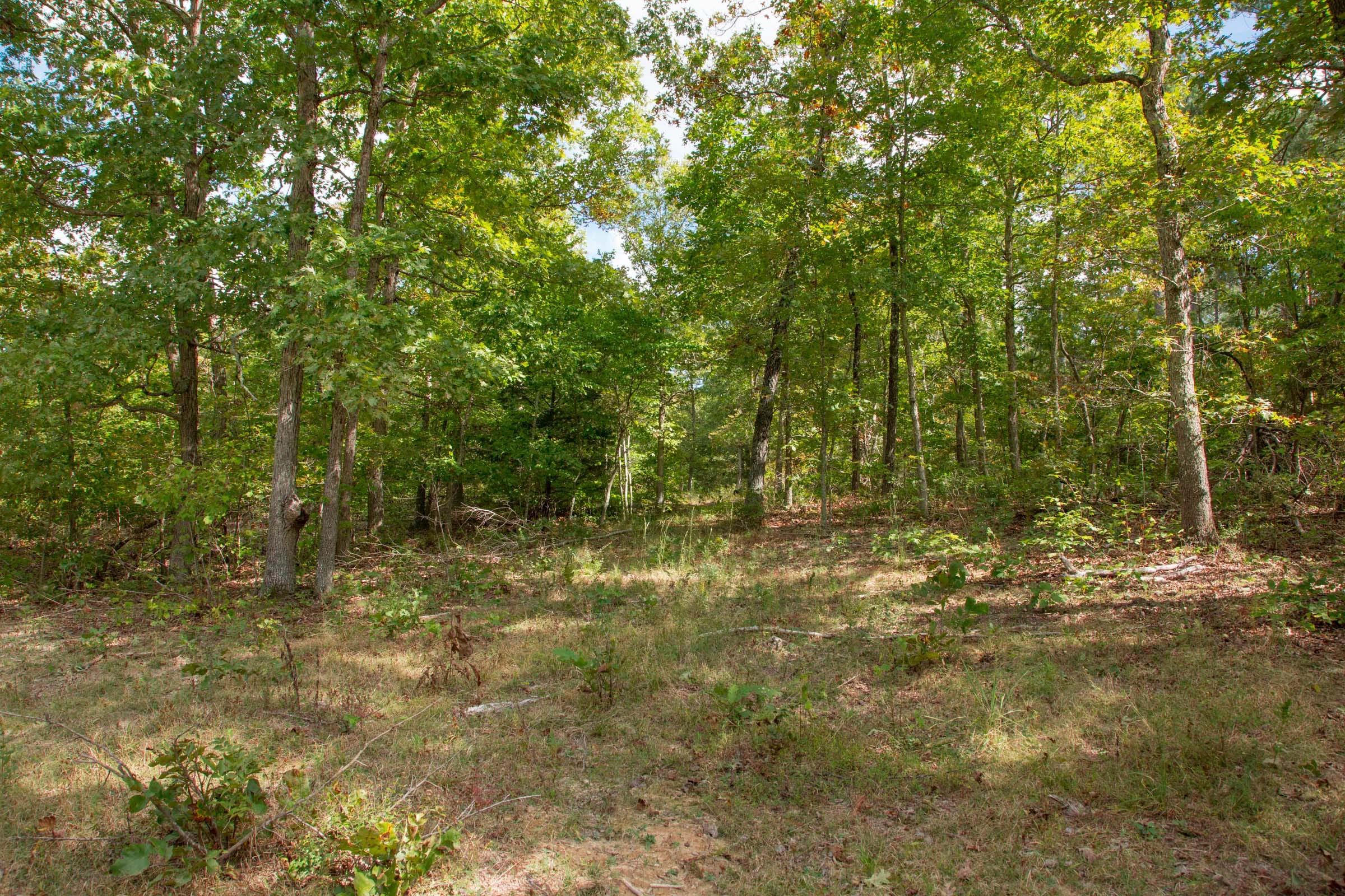 Wagon Wheel Ranch Tract 49 photo 9