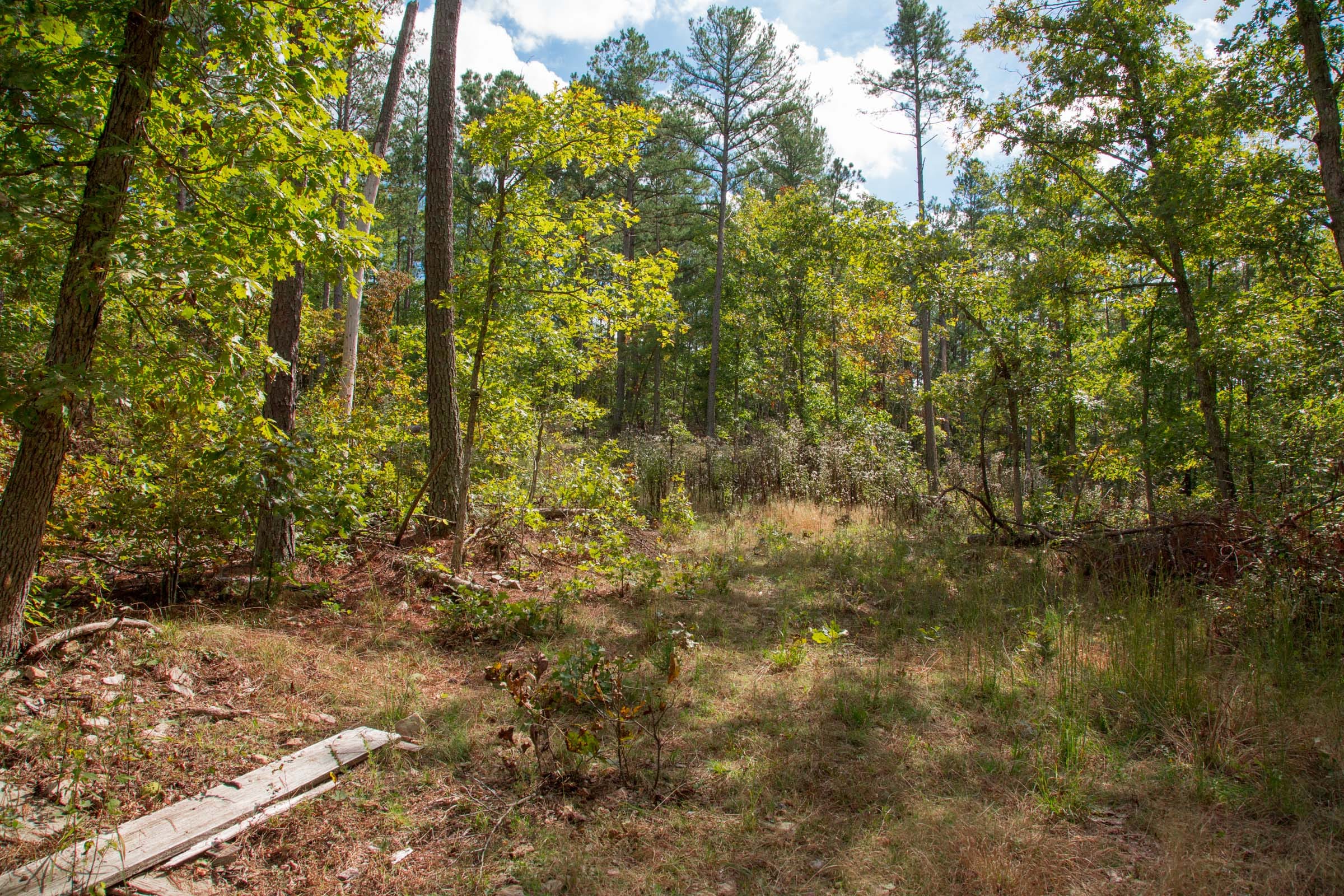 Wagon Wheel Ranch Tract 49 photo 11