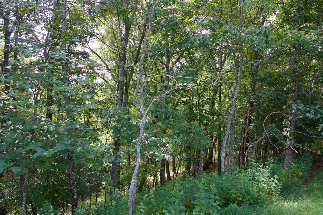 Heritage Hollow Tract 23 photo 1