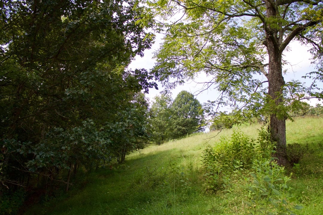 Heritage Hollow Tract 23 photo 2