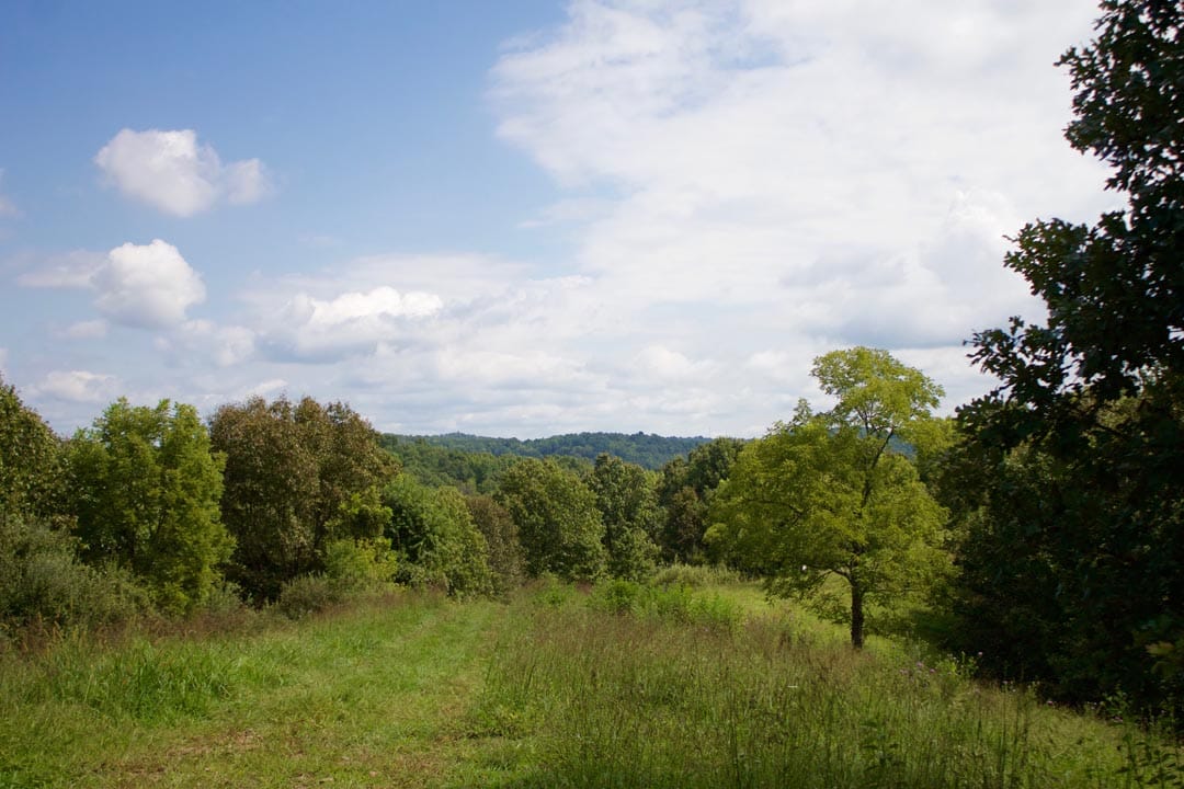 Heritage Hollow Tract 23 photo 4