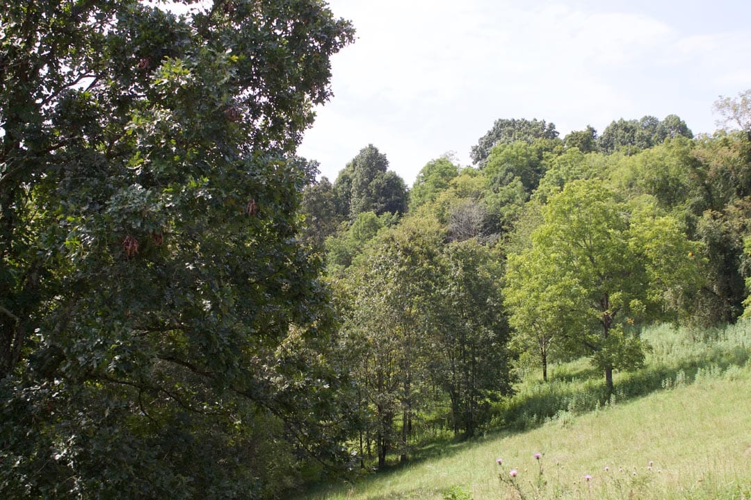 Heritage Hollow Tract 23 photo 7